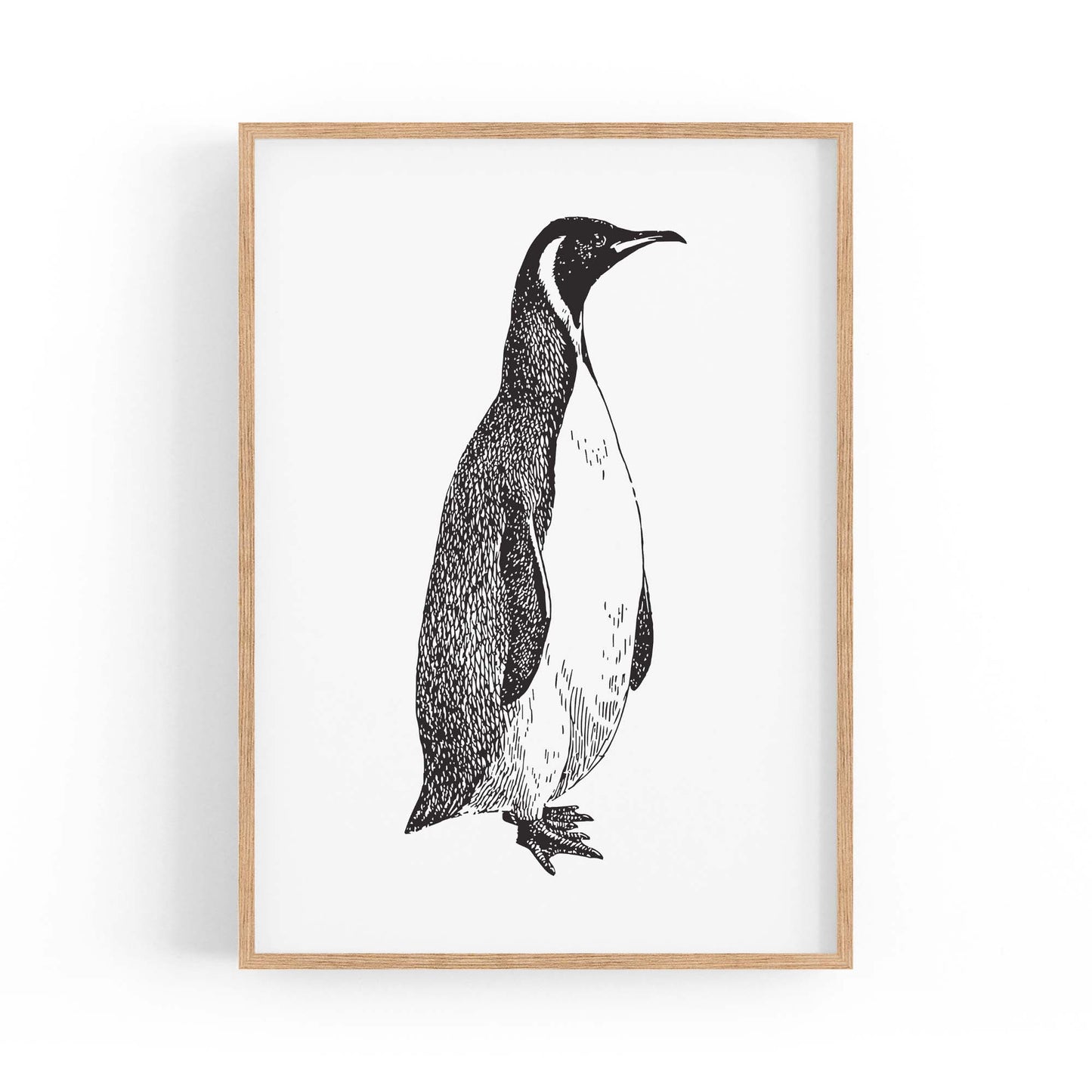 Penguin Drawing Animal Office Library Wall Art #1 - The Affordable Art Company