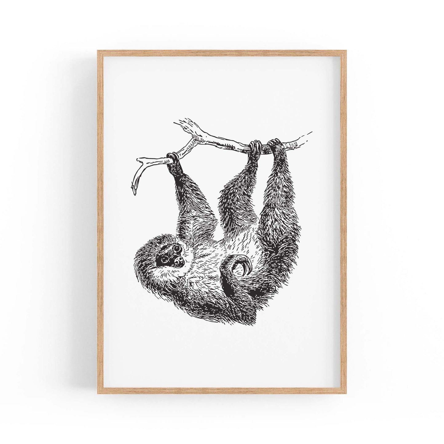 Sloth Drawing Animal Minimal Wall Art - The Affordable Art Company