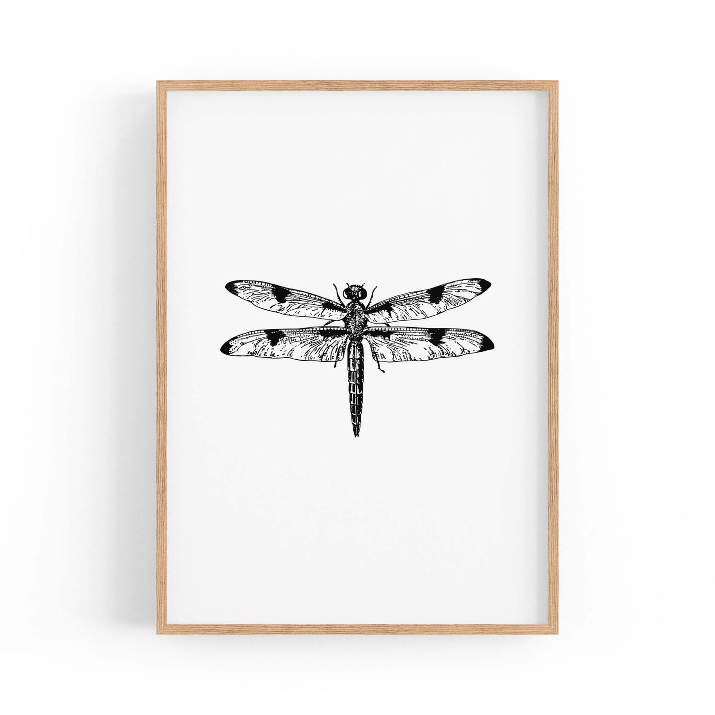 Dragonfly Drawing Insect Minimal Artwork Wall Art #1 - The Affordable Art Company