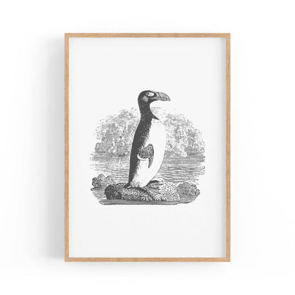 Penguin Drawing Animal Office Library Wall Art #2 - The Affordable Art Company