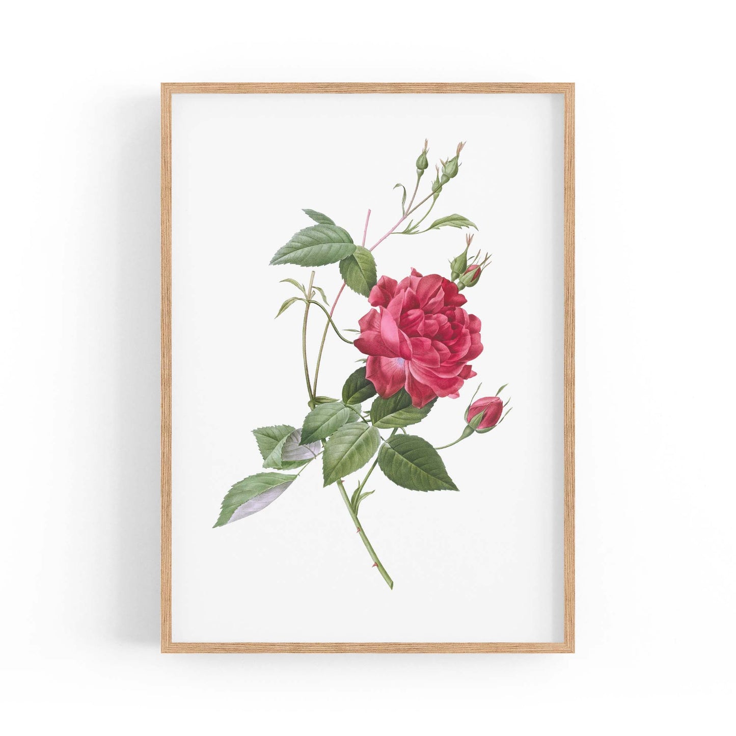 Flower Botanical Painting Kitchen Hallway Wall Art #31 - The Affordable Art Company