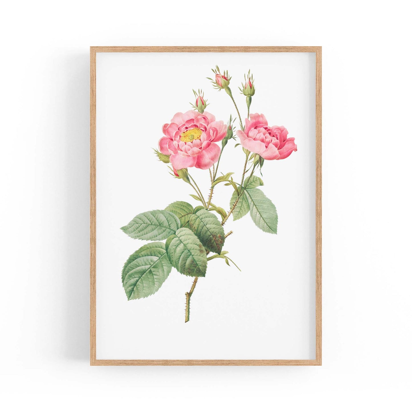 Flower Botanical Painting Kitchen Hallway Wall Art #12 - The Affordable Art Company