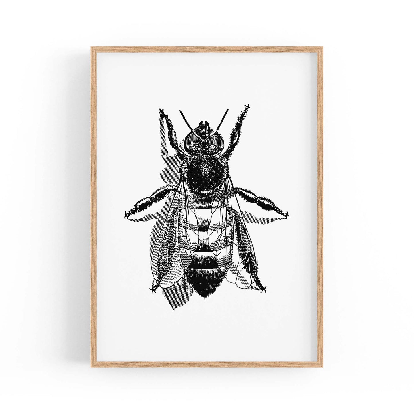 Worker Bee Drawing Insect Honey Wall Art - The Affordable Art Company