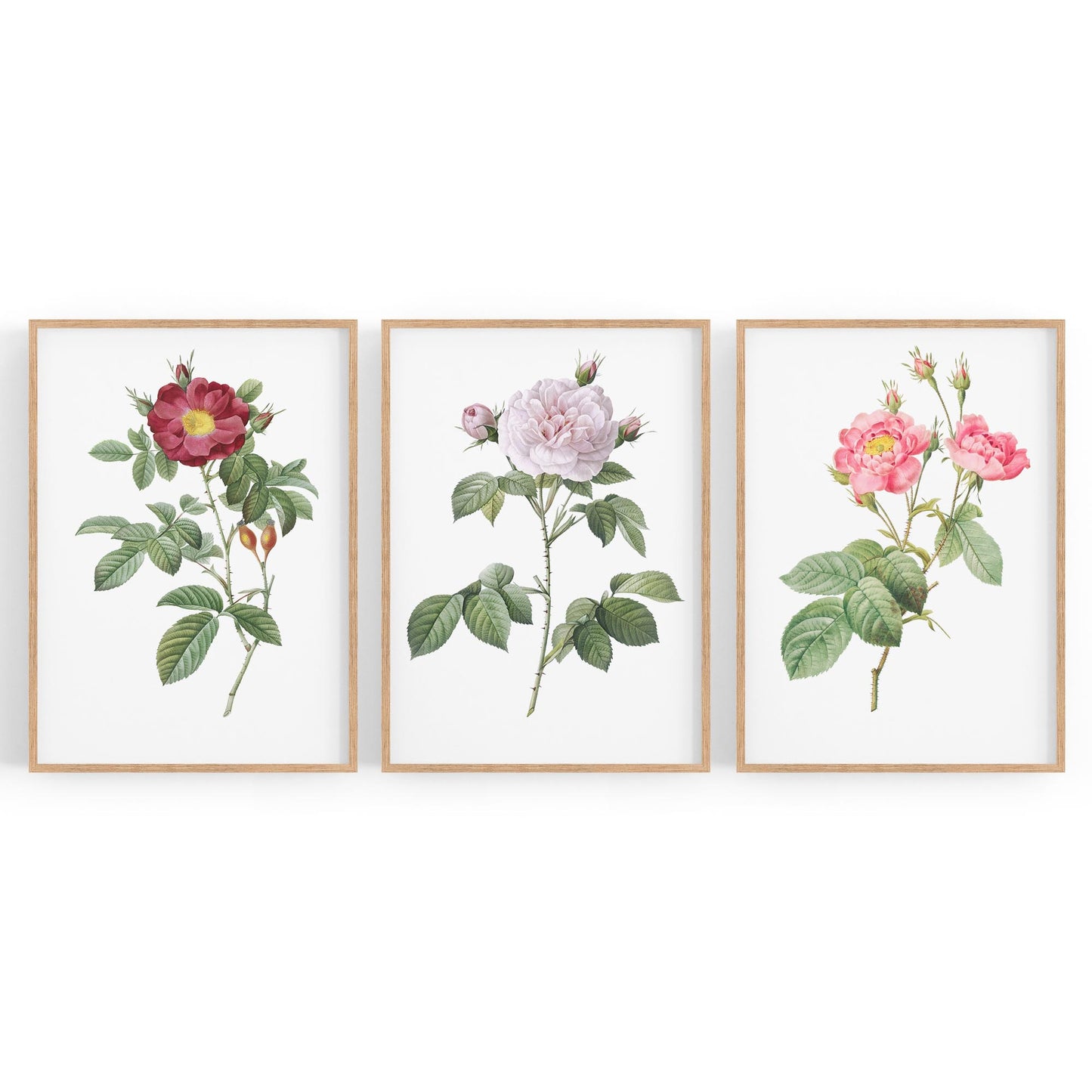 Set of Pink Floral Vintage Botanical Wall Art #3 - The Affordable Art Company