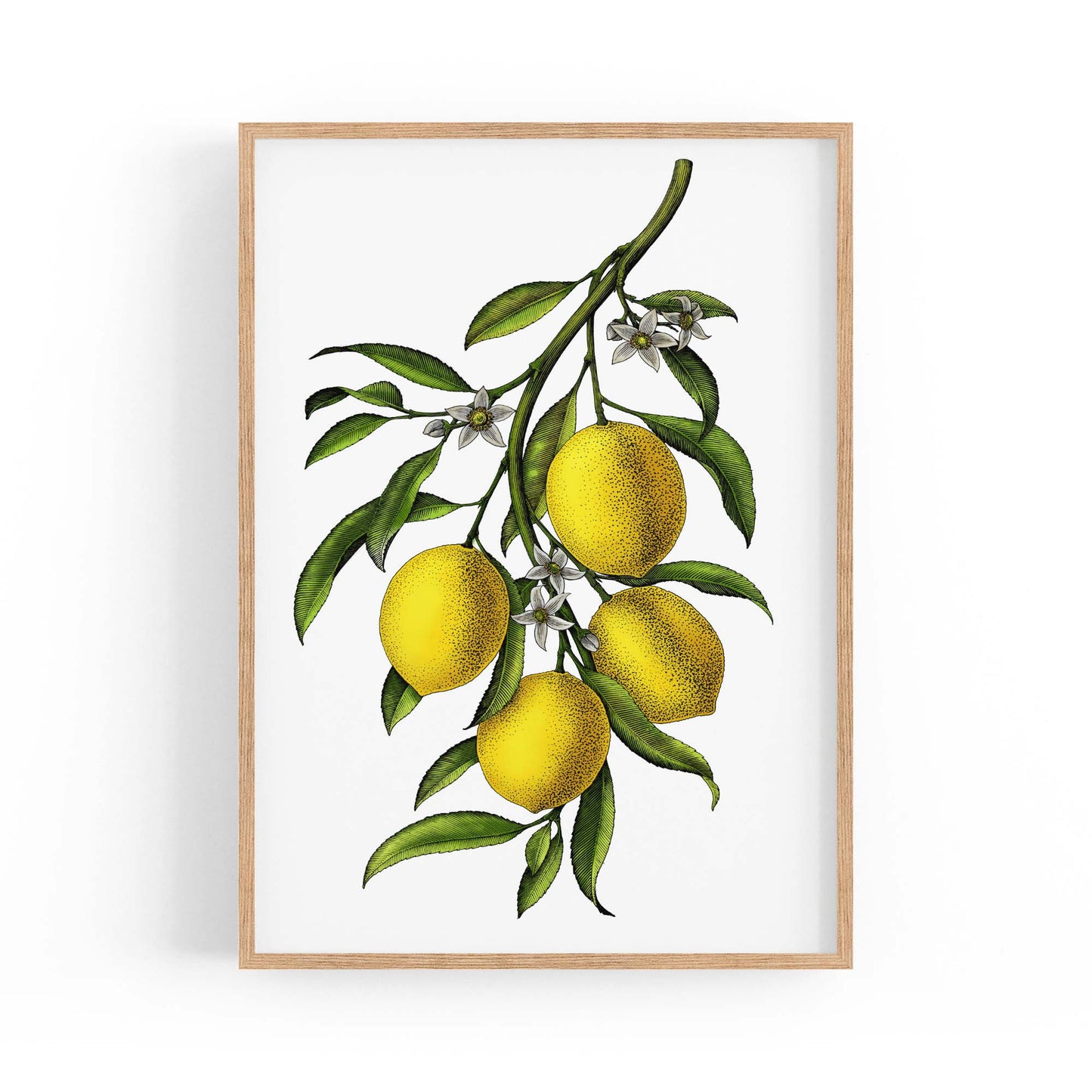 Lemon Branch Vintage Botanical Kitchen Wall Art - The Affordable Art Company