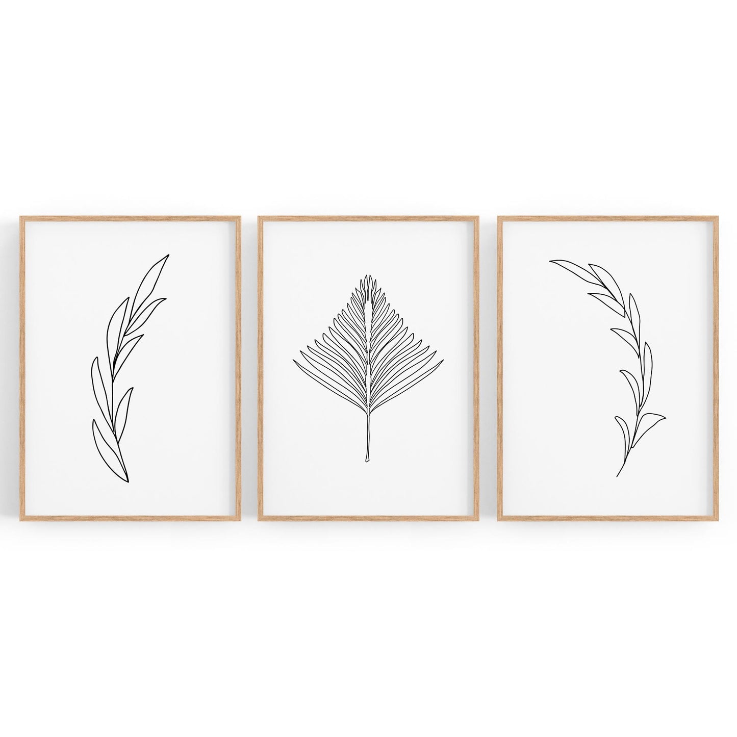 Set of Minimal Plant Line Drawings Wall Art #1 - The Affordable Art Company