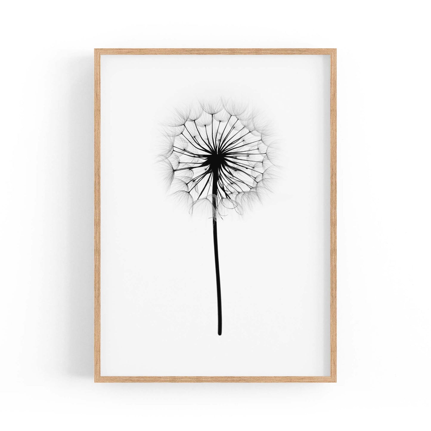 Dandelion Drawing Minimal Flower Wall Art #2 - The Affordable Art Company