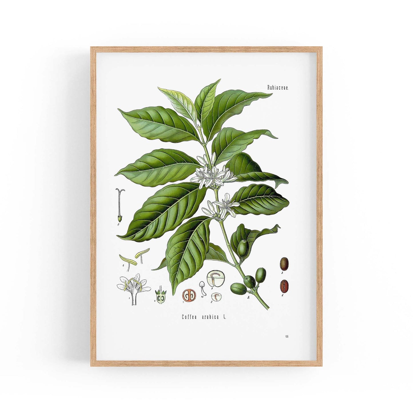 Coffee Branch Botanical Kitchen Cafe Wall Art #1 - The Affordable Art Company