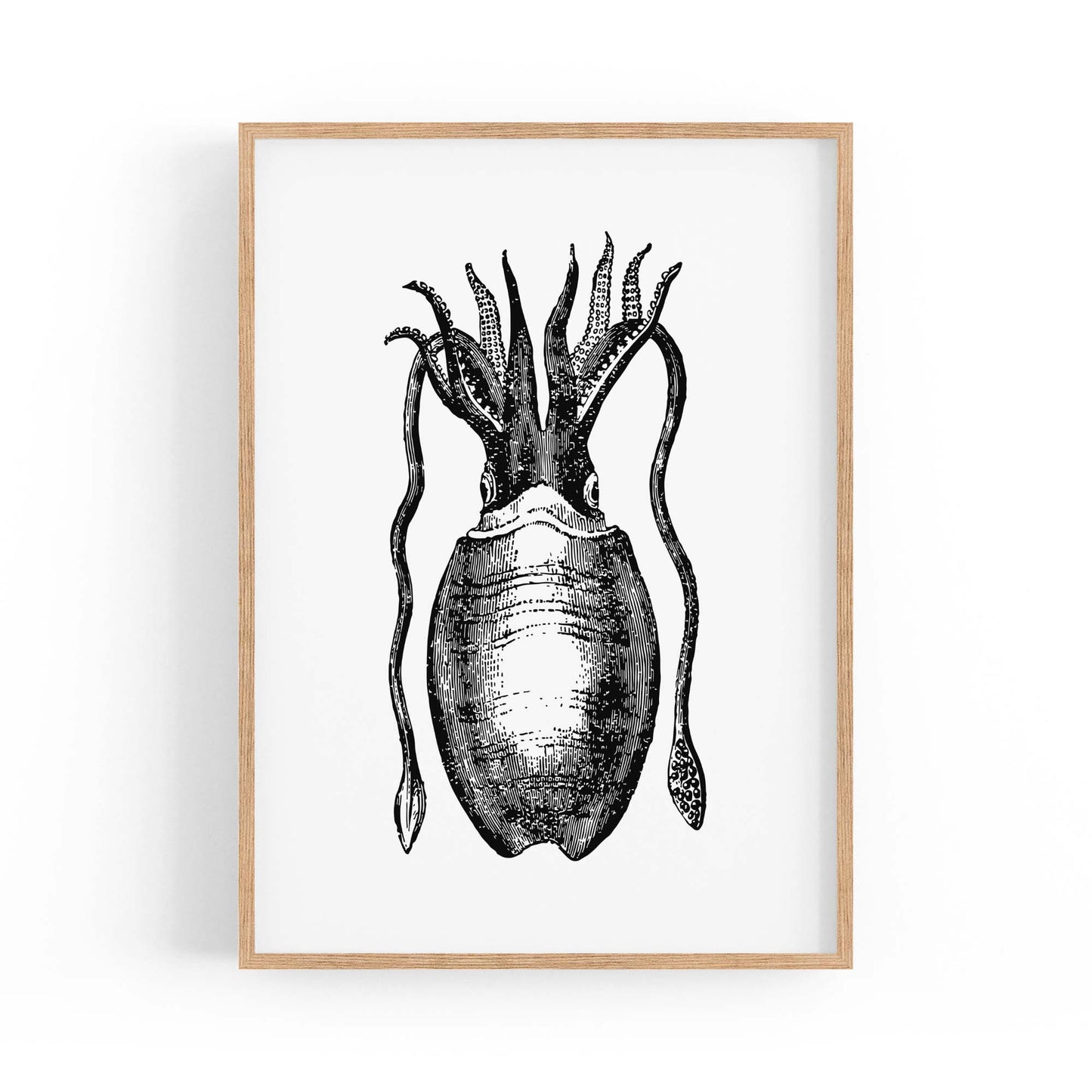 Squid Drawing Black and White Sealife Wall Art - The Affordable Art Company