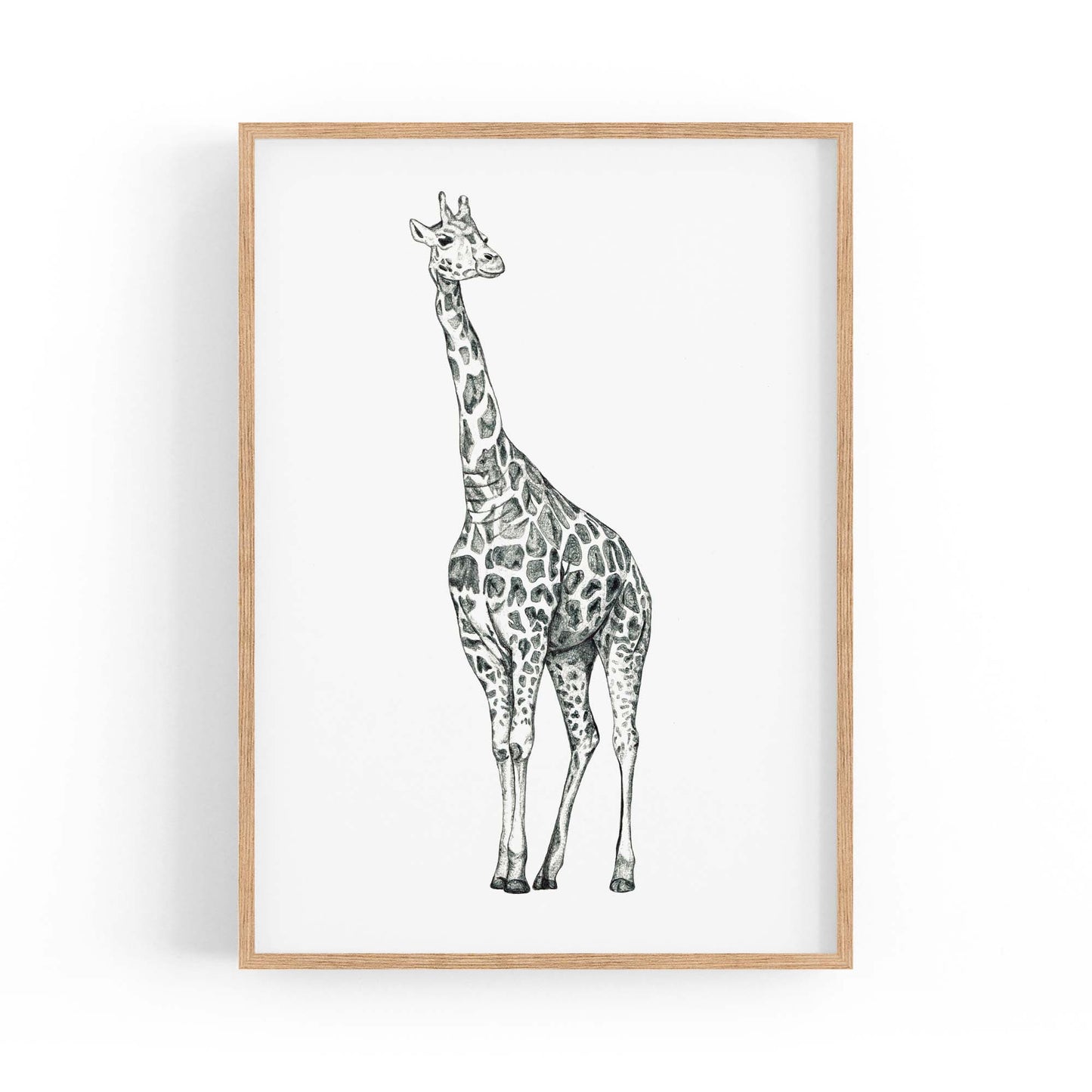 Detailed Giraffe Drawing Safari Animal Wall Art #1 - The Affordable Art Company