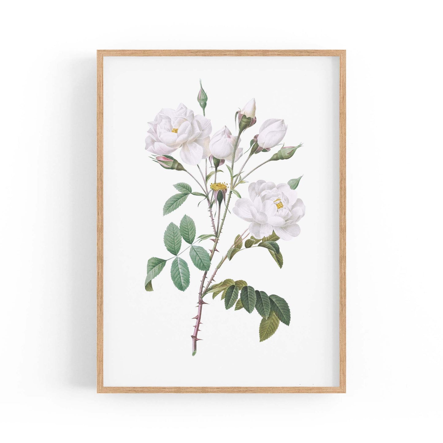 Flower Botanical Painting Kitchen Hallway Wall Art #15 - The Affordable Art Company