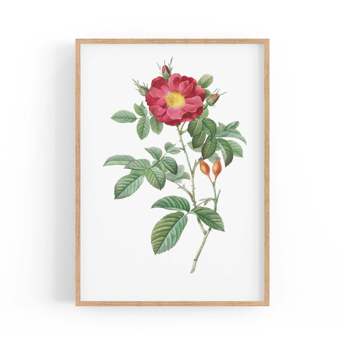 Flower Botanical Painting Kitchen Hallway Wall Art #9 - The Affordable Art Company