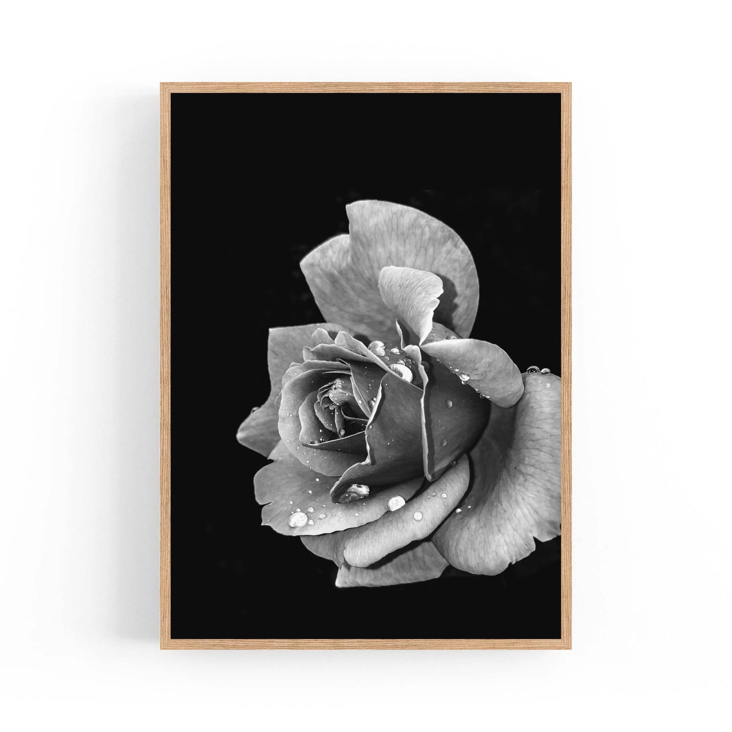 Black and White Rose Flower Photograph Wall Art - The Affordable Art Company