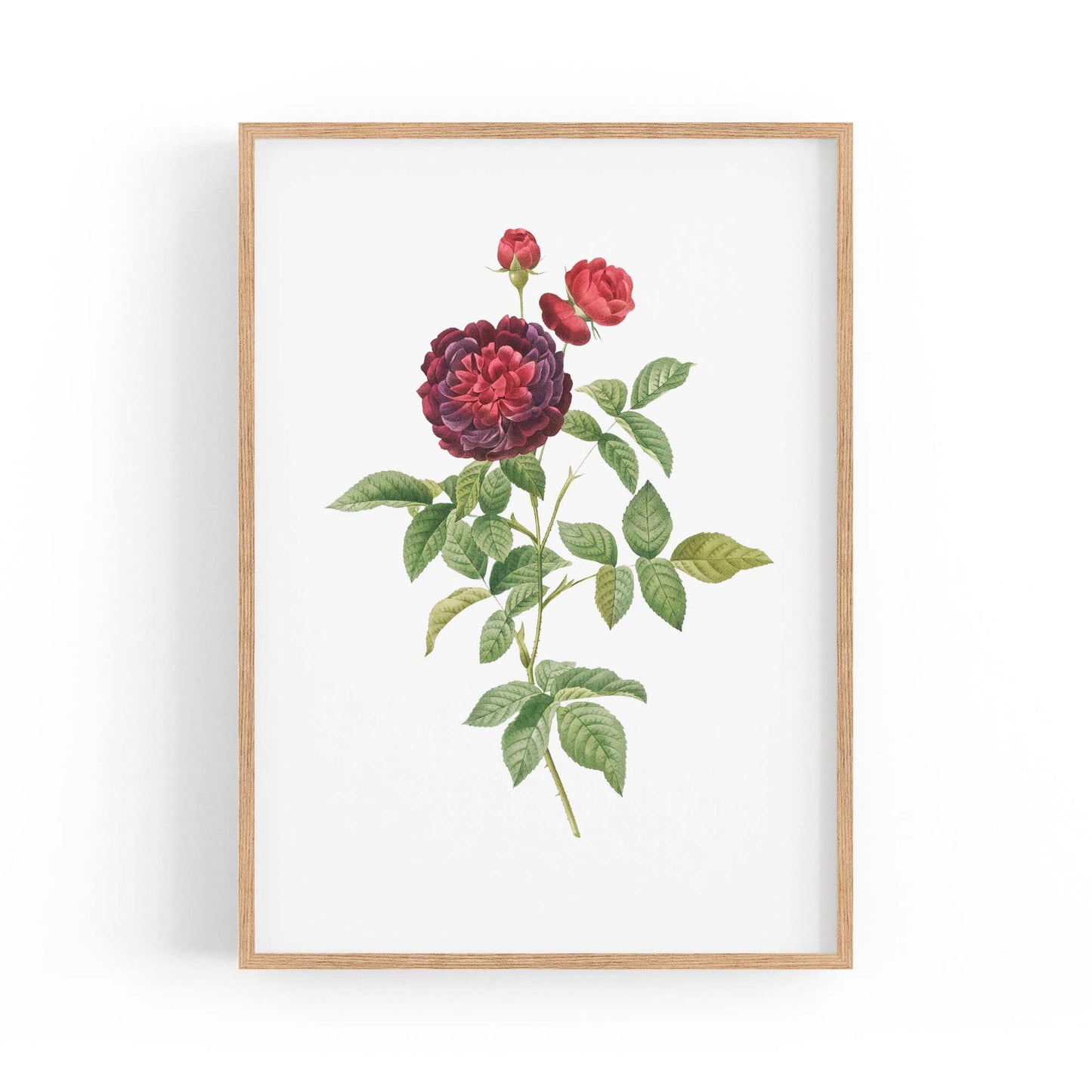Flower Botanical Painting Kitchen Hallway Wall Art #30 - The Affordable Art Company