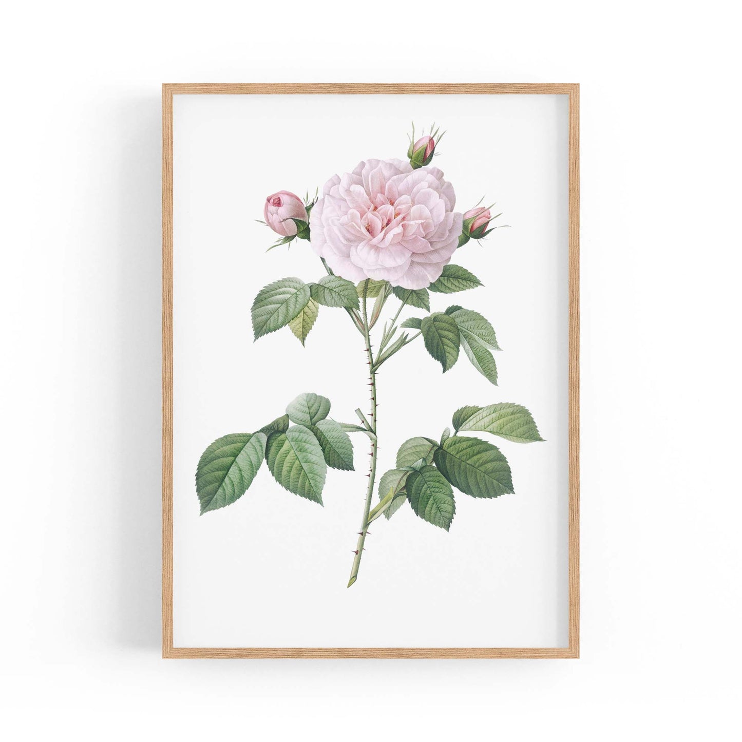 Flower Botanical Painting Kitchen Hallway Wall Art #11 - The Affordable Art Company