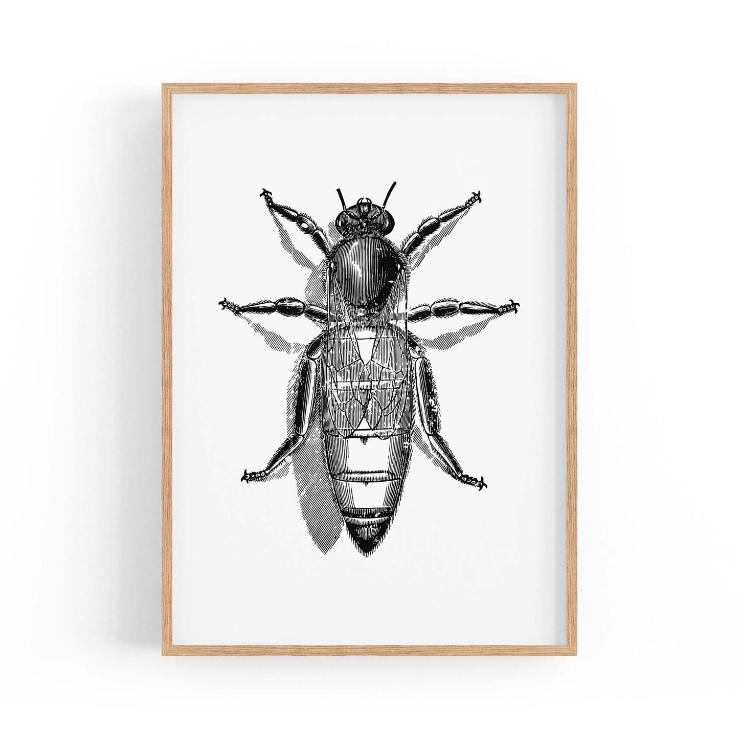 Queen Bee Drawing Insect Honey Wall Art - The Affordable Art Company