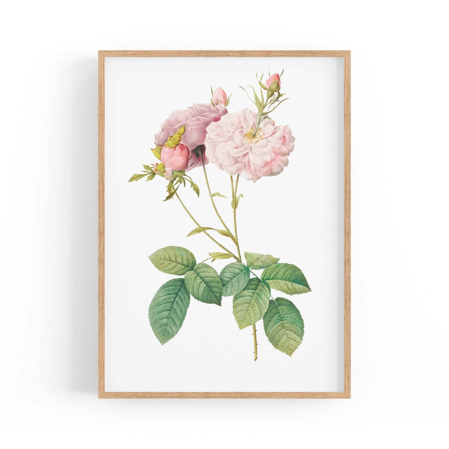 Flower Botanical Painting Kitchen Hallway Wall Art #42 - The Affordable Art Company