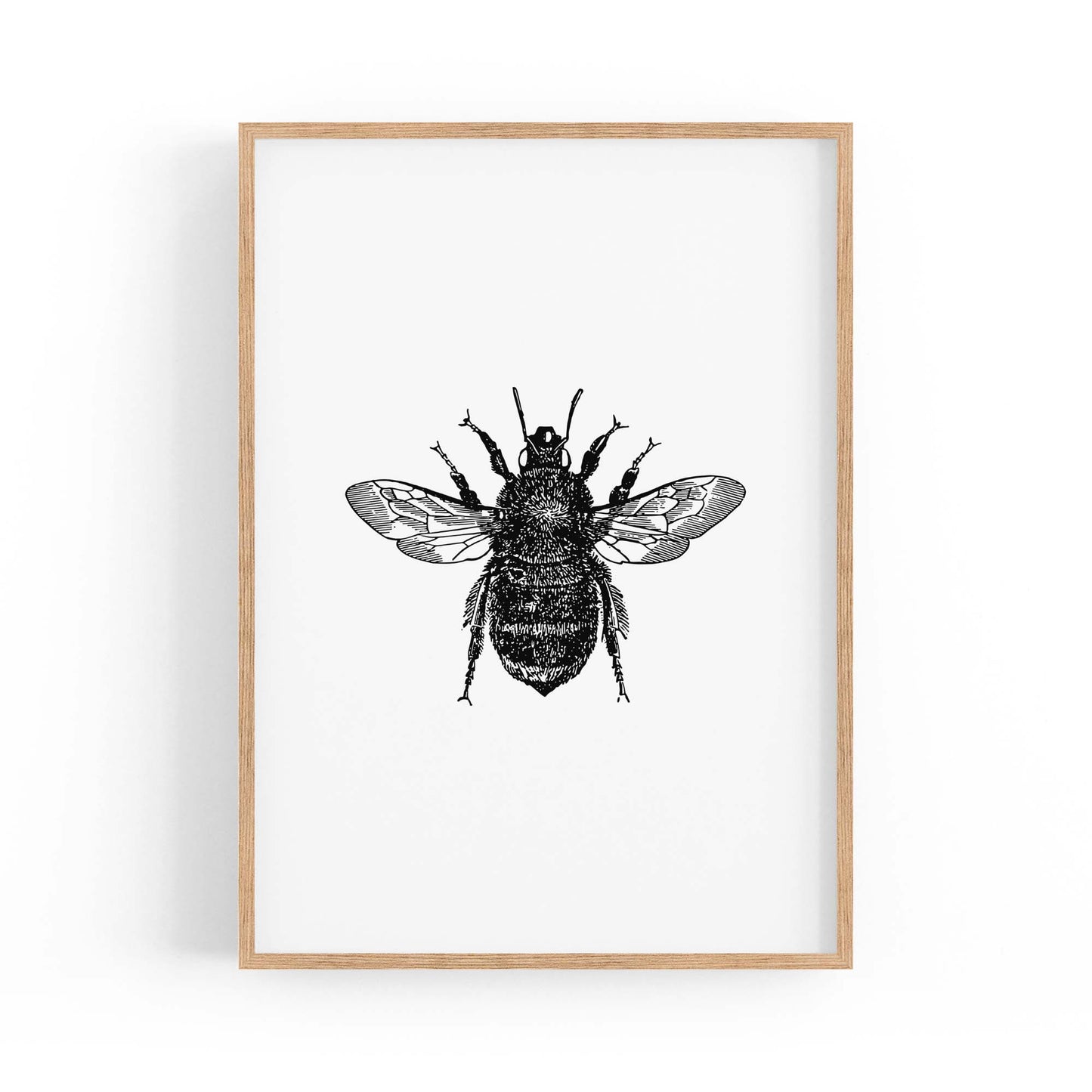 Bumblebee Drawing Insect Minimal Wall Art - The Affordable Art Company