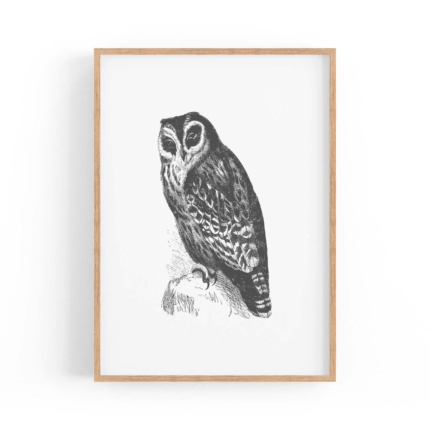 Owl Drawing Portrait Minimal Black Wall Art #4 - The Affordable Art Company