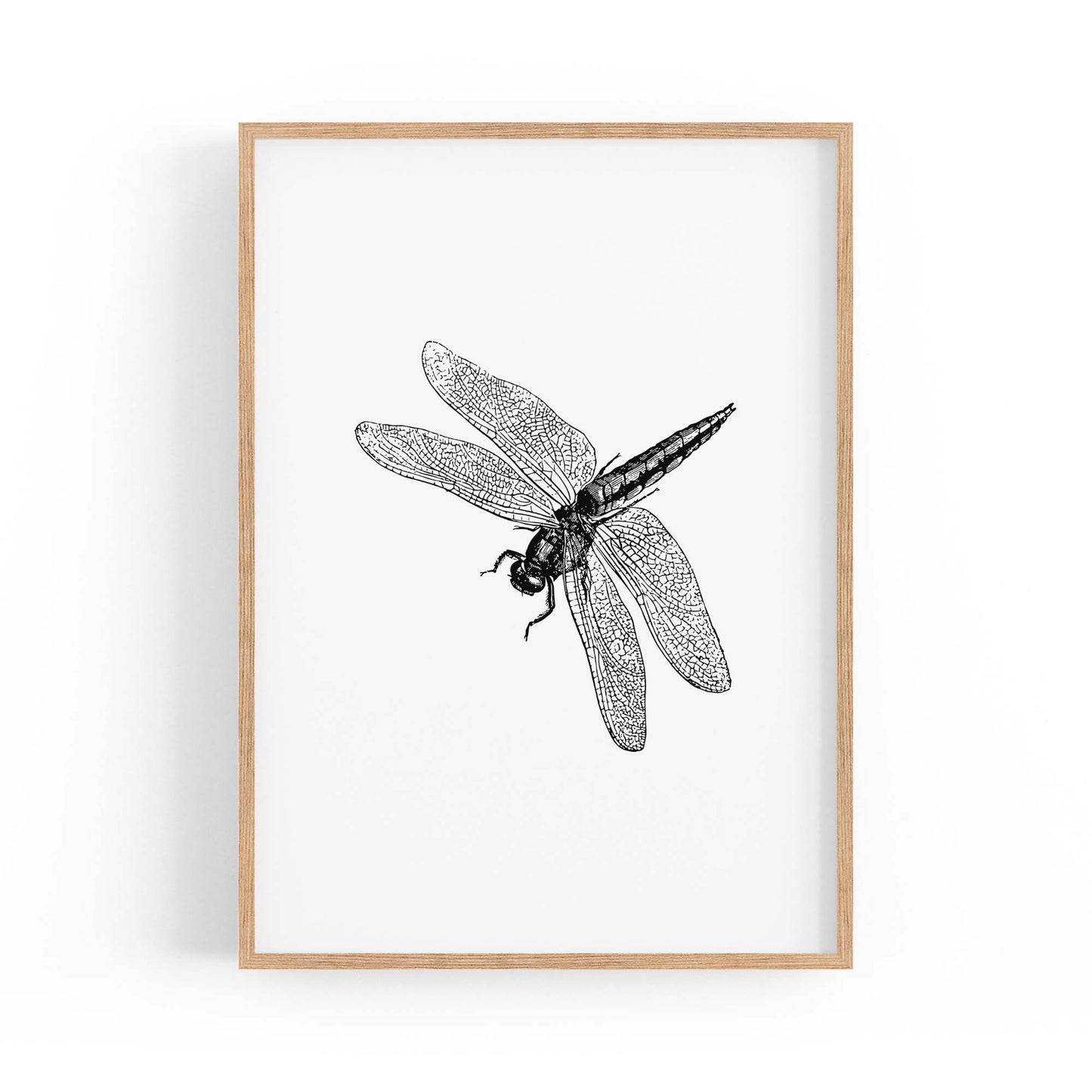 Dragonfly Drawing Insect Minimal Artwork Wall Art #2 - The Affordable Art Company