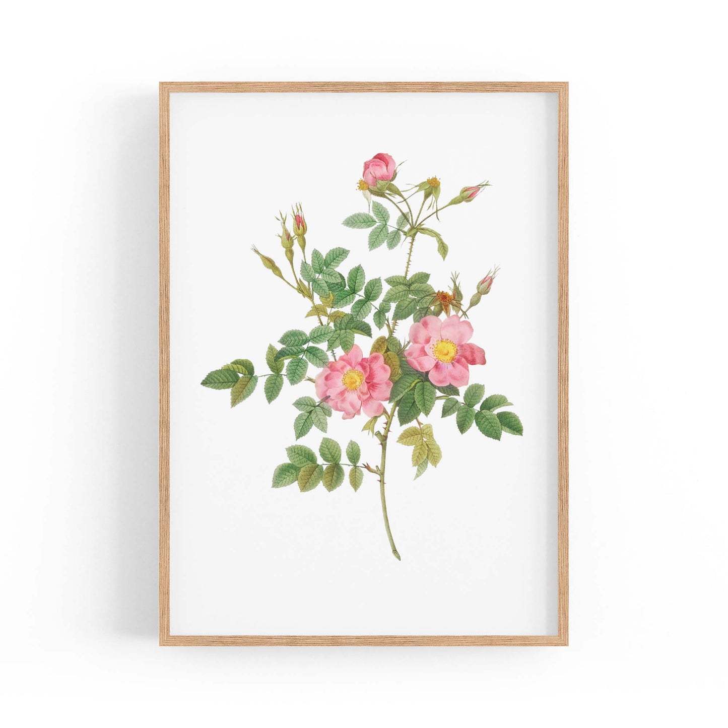 Flower Botanical Painting Kitchen Hallway Wall Art #47 - The Affordable Art Company