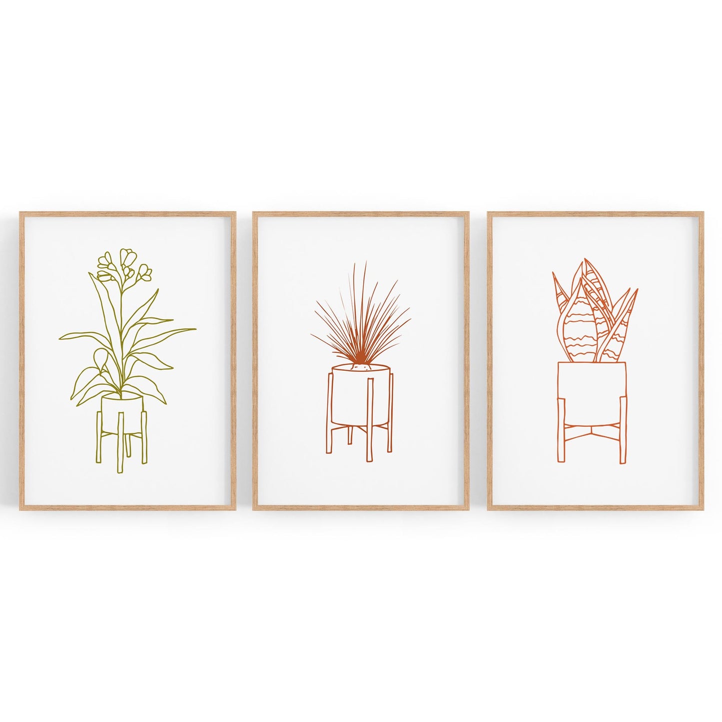 Set of Minimal House Plant Drawing Wall Art #1 - The Affordable Art Company