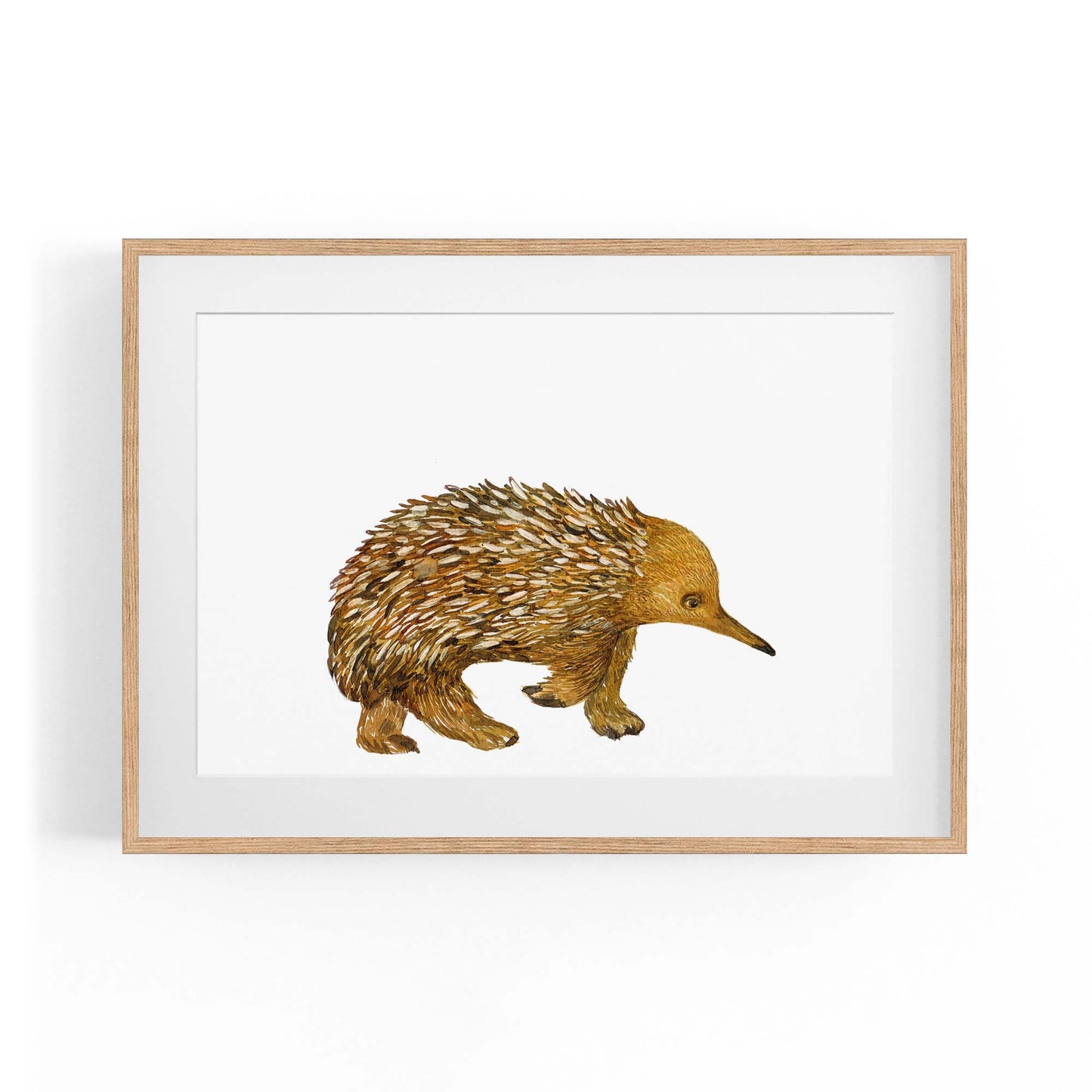 Australian Echidna Painting Animal Nursery Wall Art - The Affordable Art Company