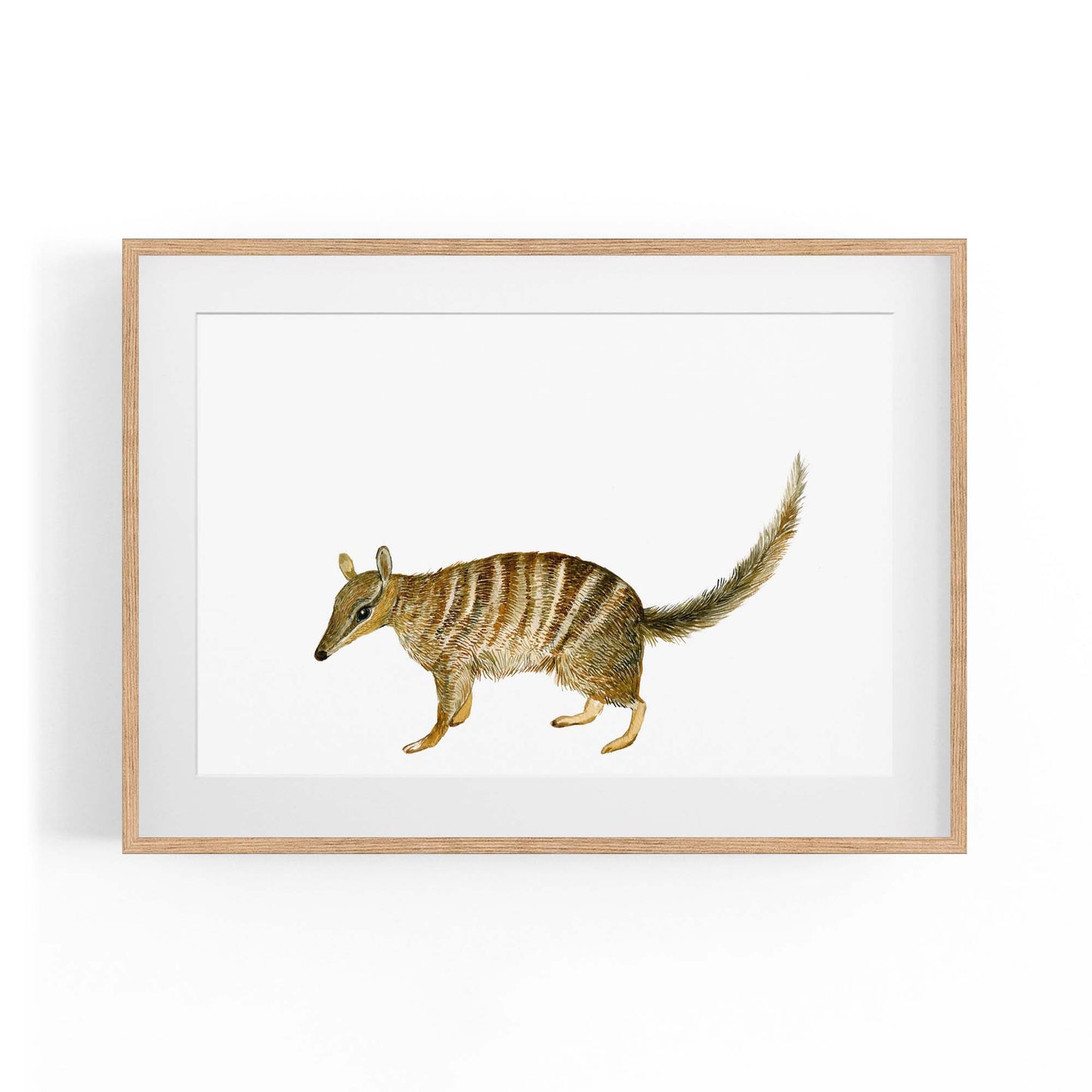 Australian Anteater Painting Animal Nursery Art - The Affordable Art Company