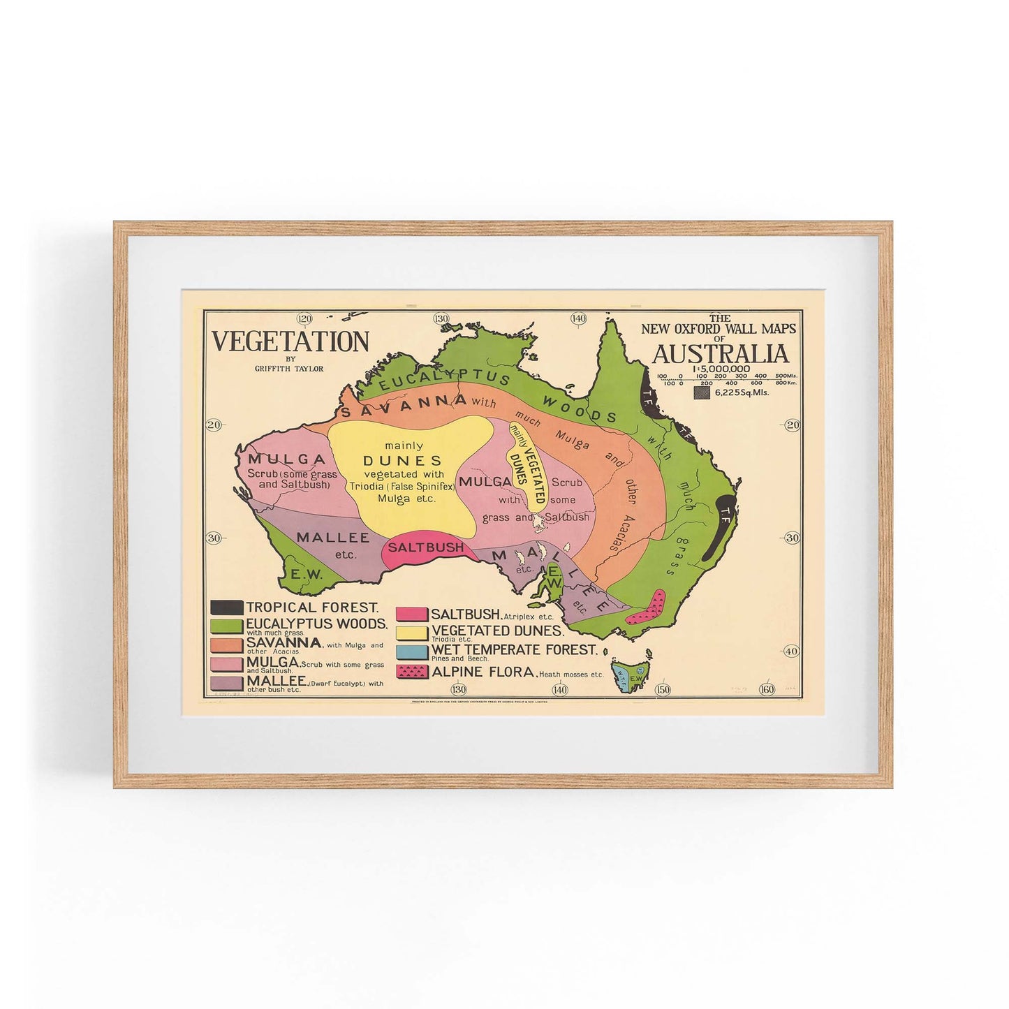 Australian Vegetation Vintage Map Wall Art - The Affordable Art Company