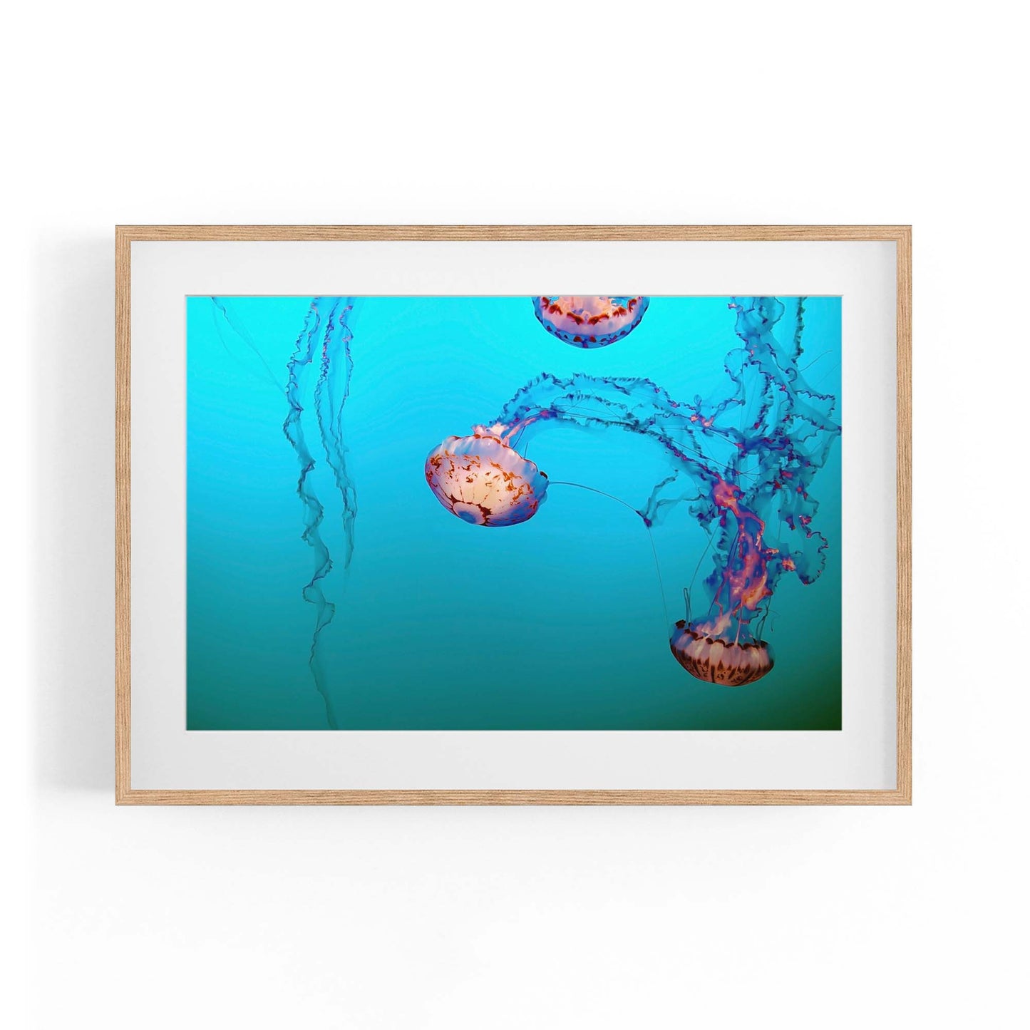 Deep Blue Jellyfish Neon Photograph Wall Art - The Affordable Art Company