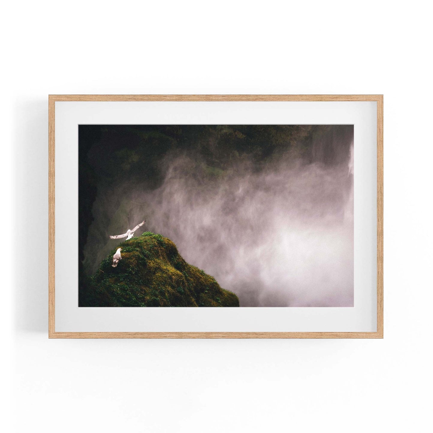 Wild Birds and Waterfall Photograph Wall Art - The Affordable Art Company