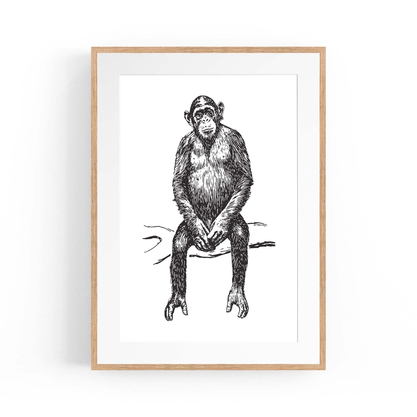 Monkey Drawing Animal Jungle Wall Art - The Affordable Art Company