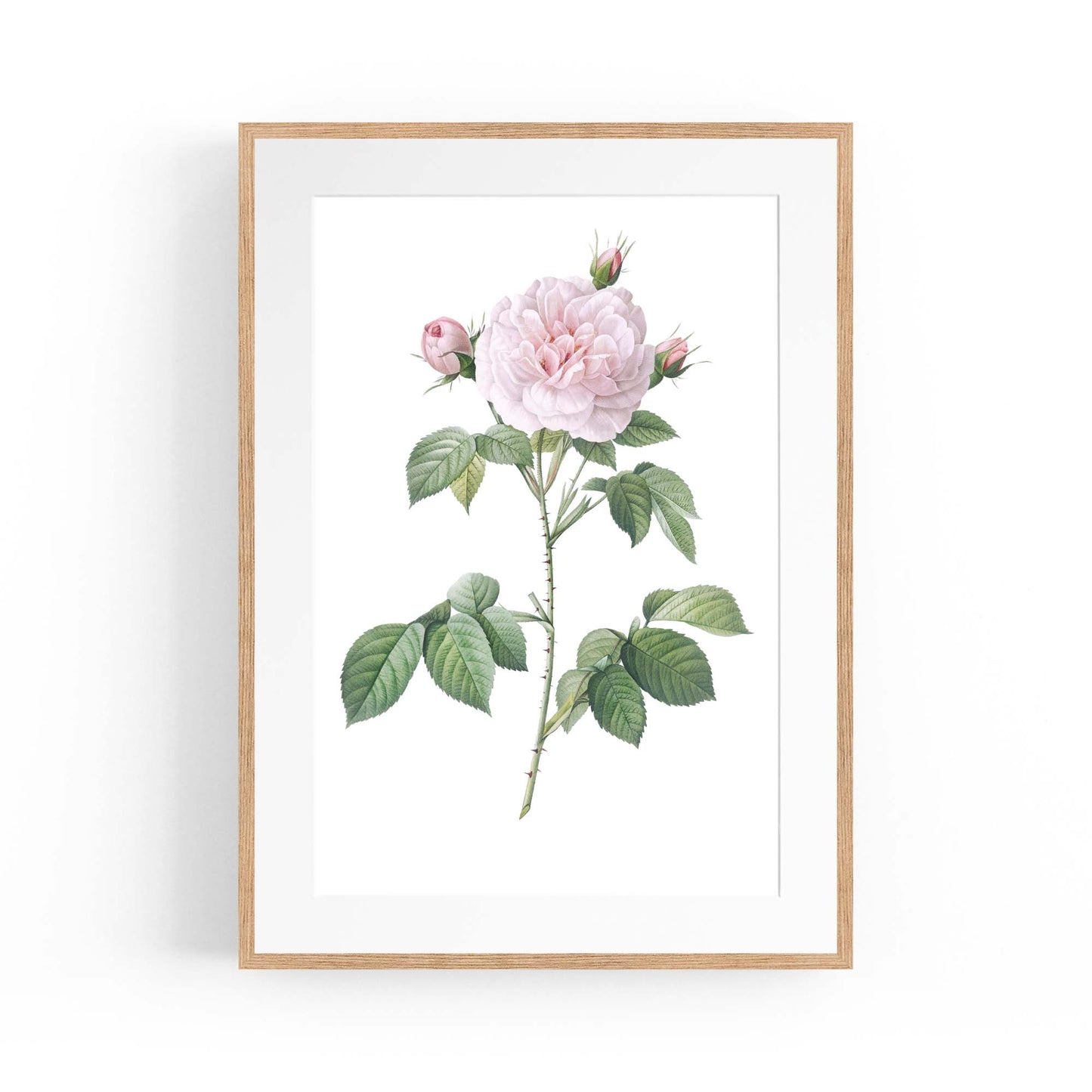 Flower Botanical Painting Kitchen Hallway Wall Art #11 - The Affordable Art Company