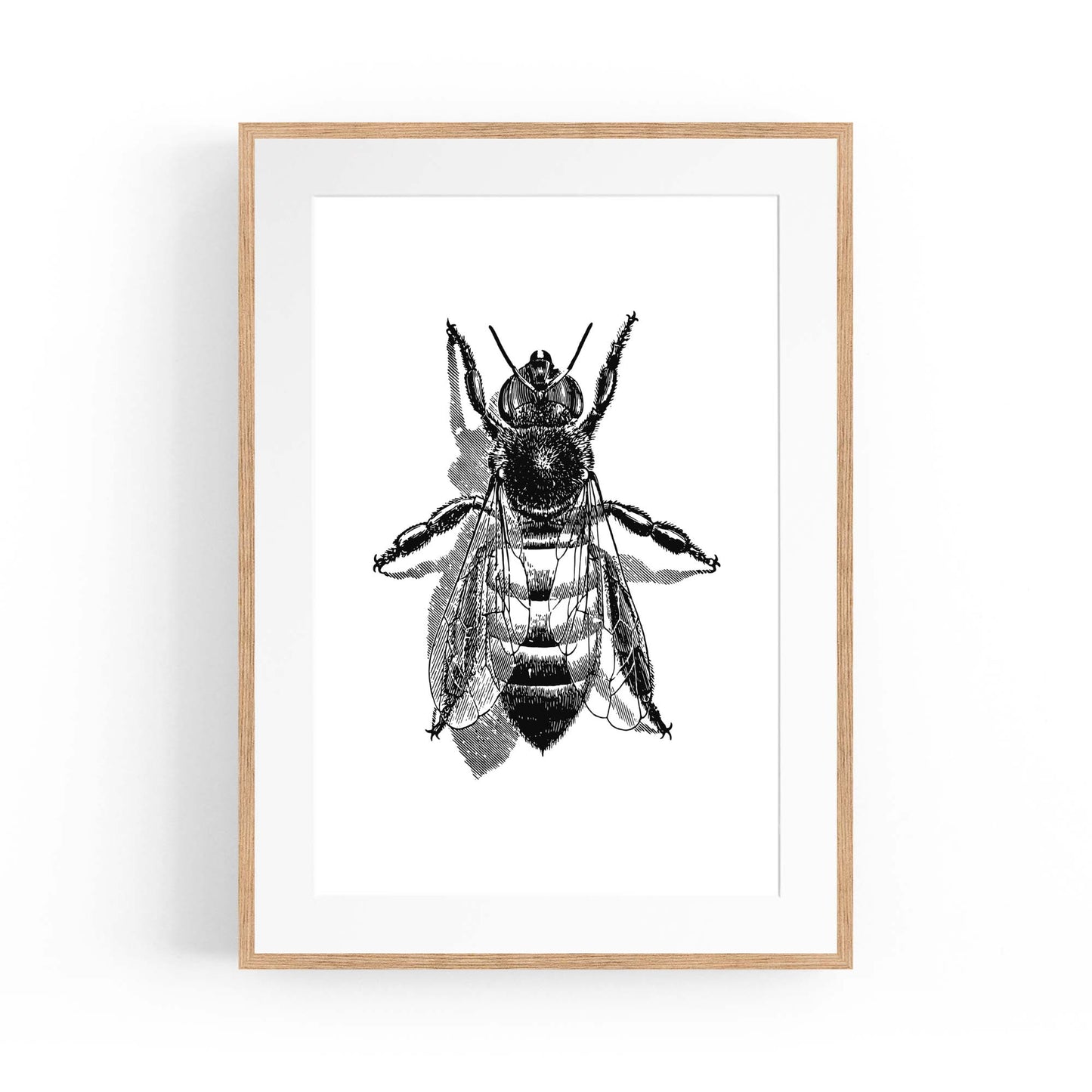 Worker Bee Drawing Insect Honey Wall Art - The Affordable Art Company