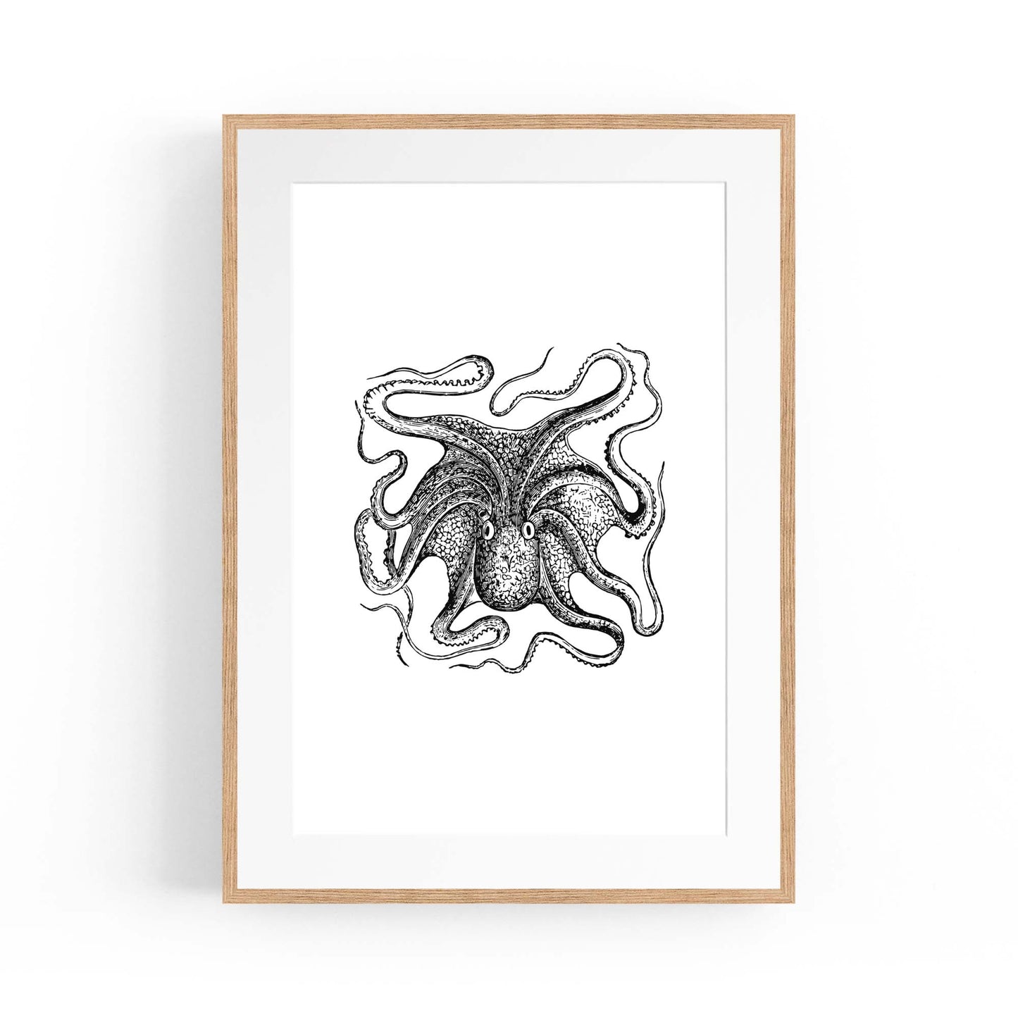 Octopus Drawing Minimal Sealife Wall Art #1 - The Affordable Art Company