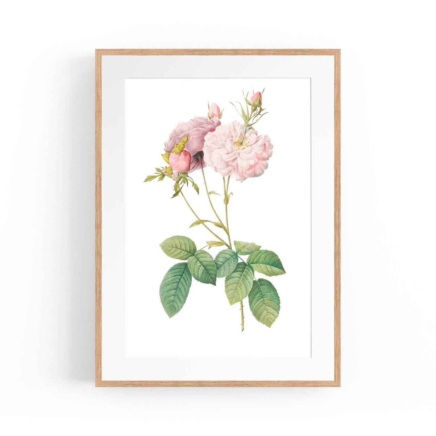 Flower Botanical Painting Kitchen Hallway Wall Art #42 - The Affordable Art Company