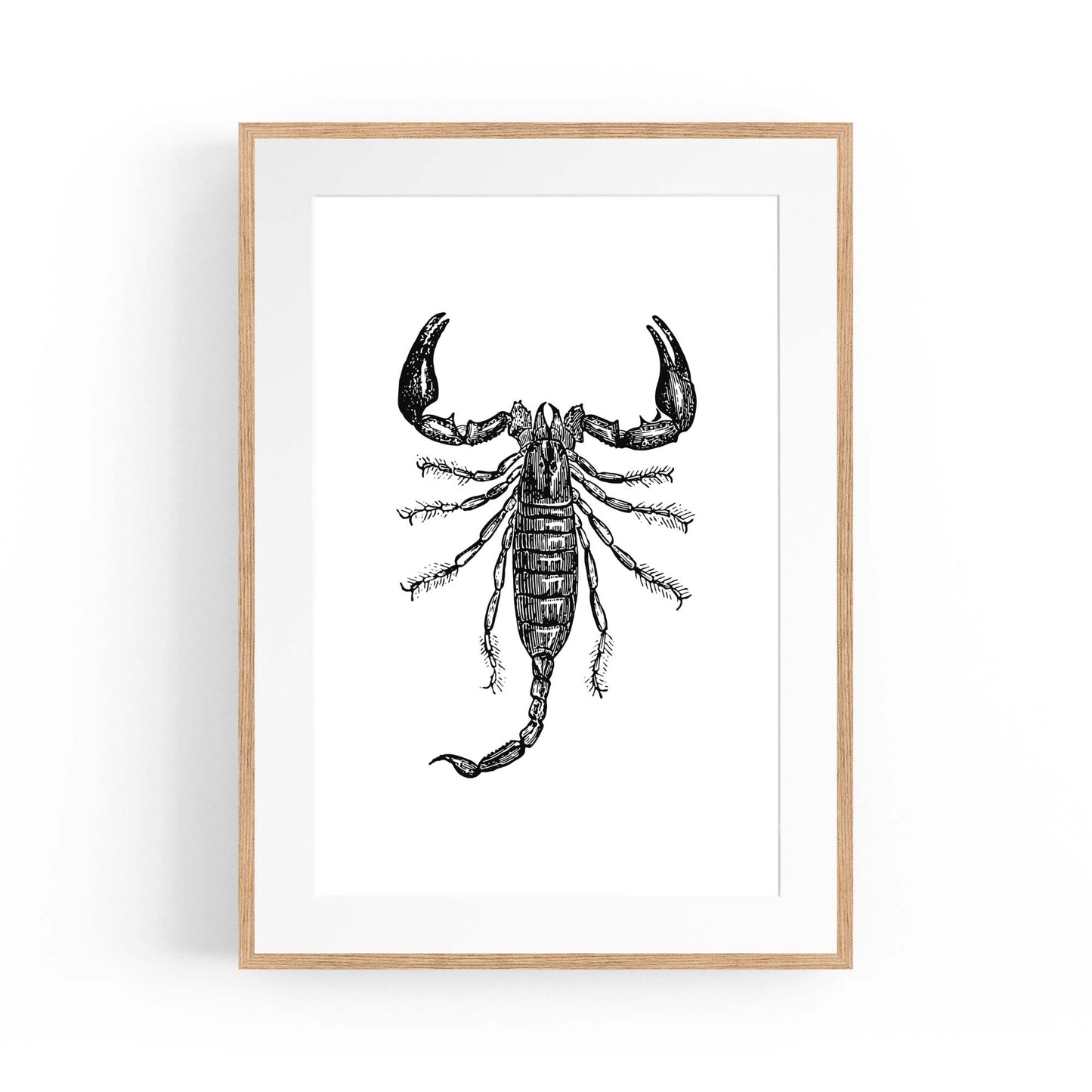 Scorpion Drawing Insect Man Cave Wall Art - The Affordable Art Company