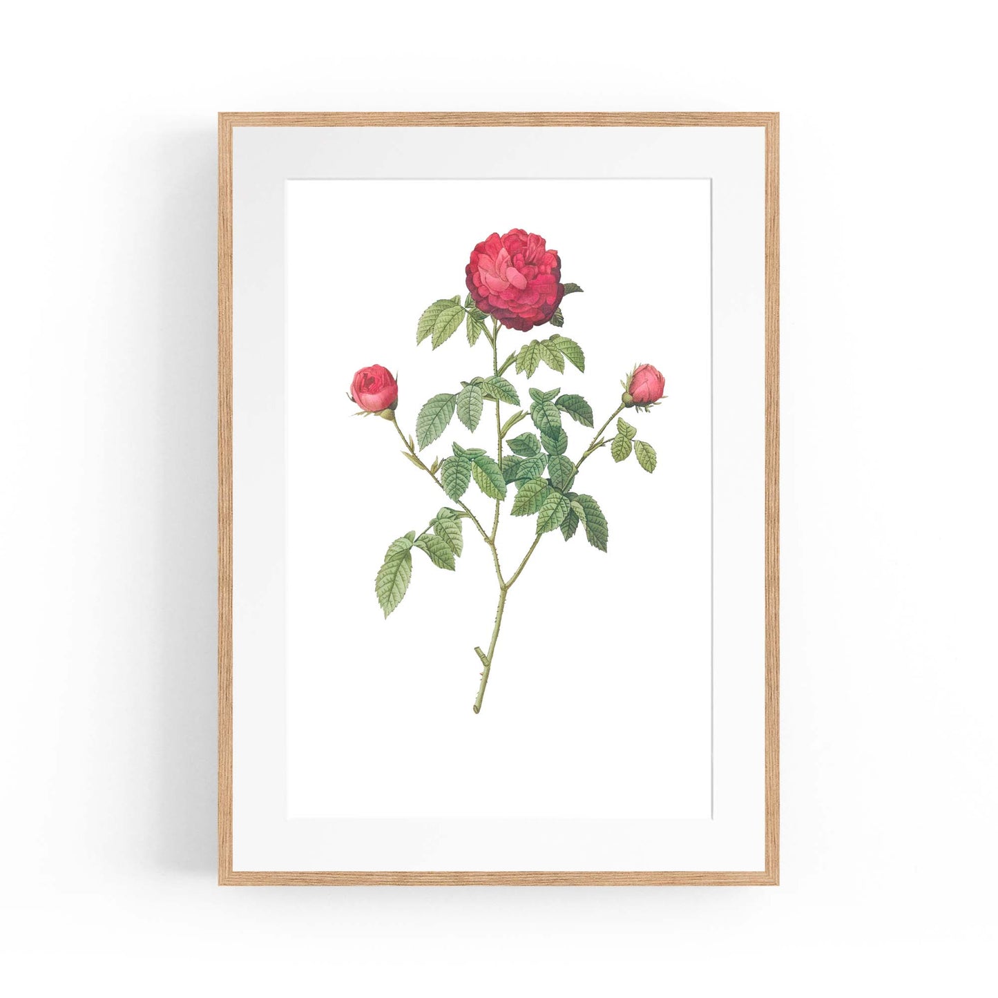 Flower Botanical Painting Kitchen Hallway Wall Art #3 - The Affordable Art Company