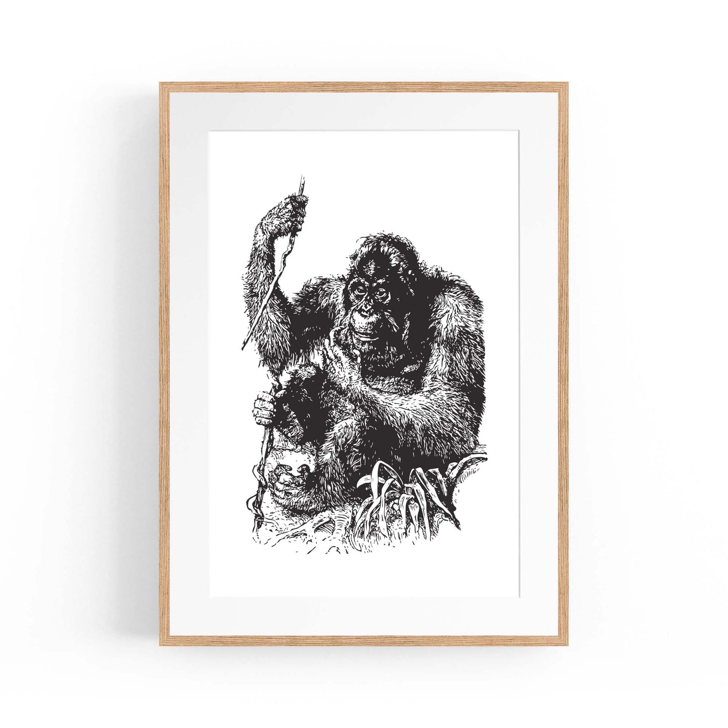 Orangutan Drawing Jungle Animal Wall Art - The Affordable Art Company