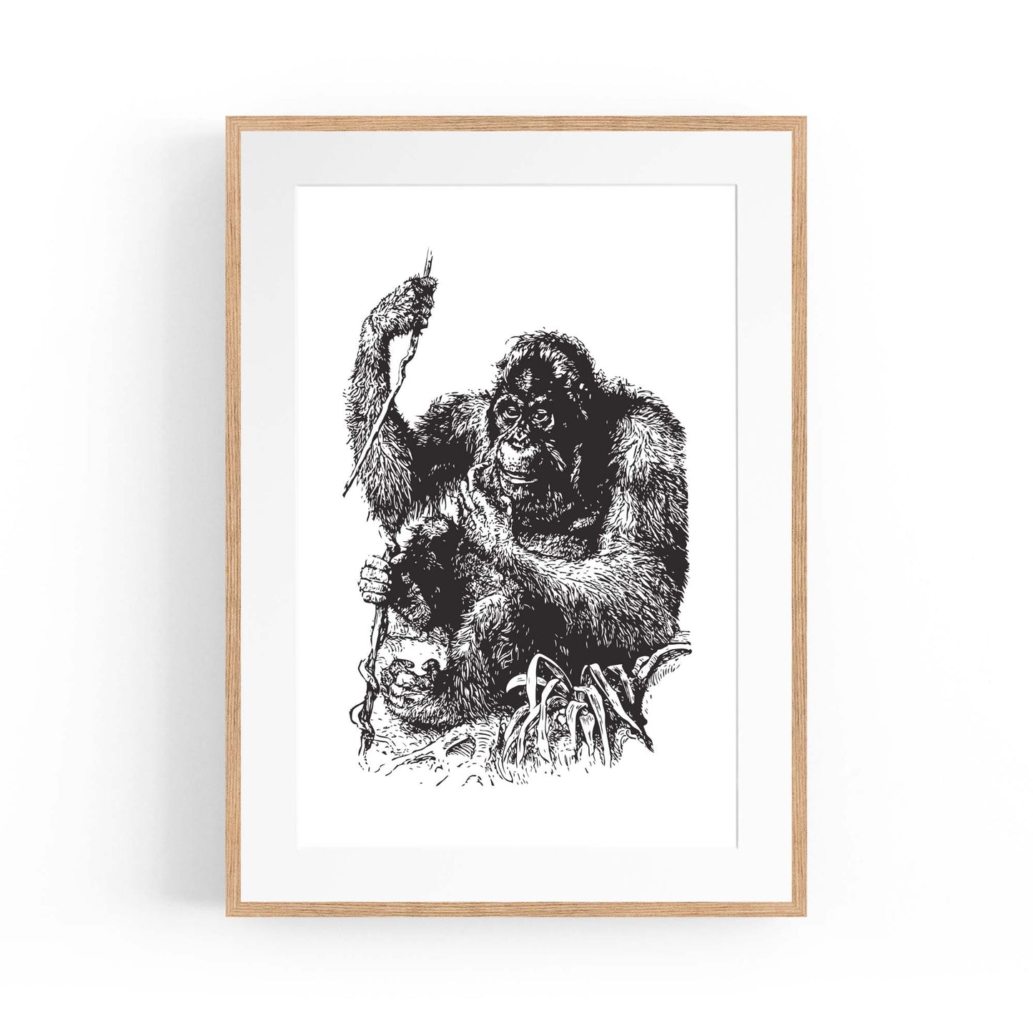 Orangutan Drawing Jungle Animal Wall Art - The Affordable Art Company