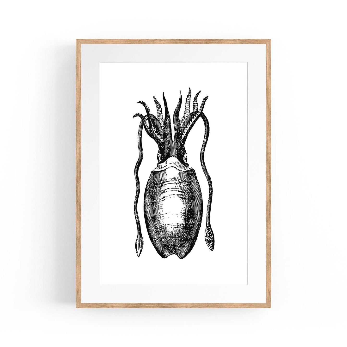 Squid Drawing Black and White Sealife Wall Art - The Affordable Art Company