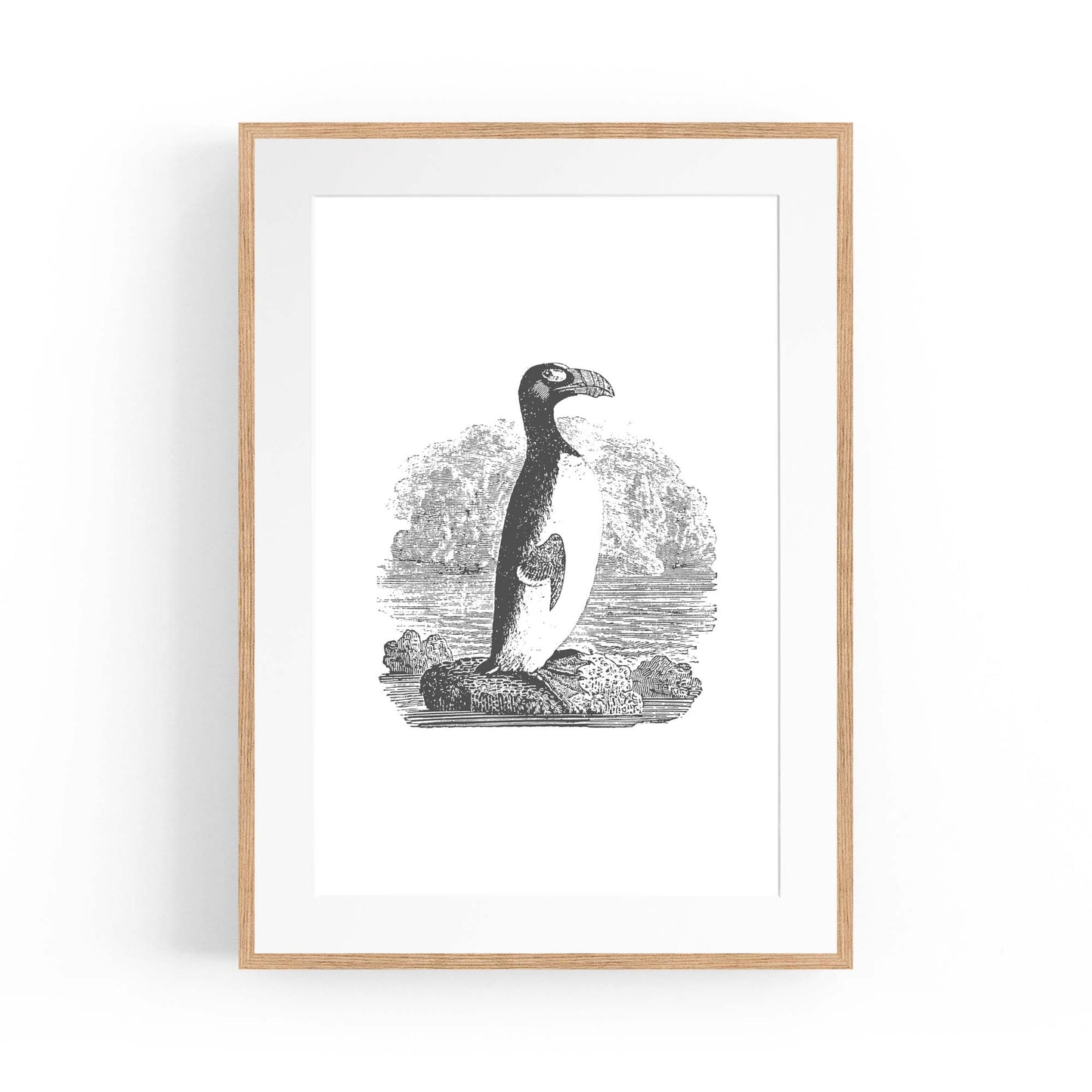 Penguin Drawing Animal Office Library Wall Art #2 - The Affordable Art Company