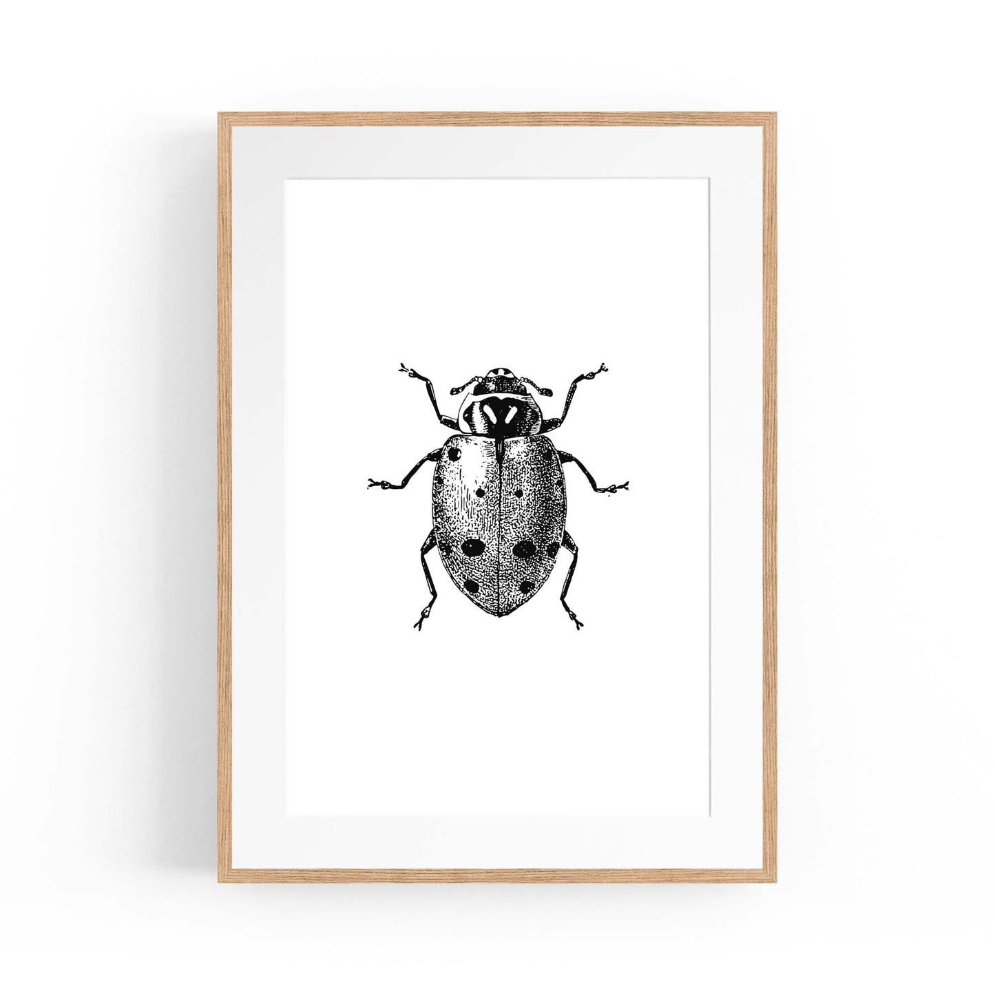 Ladybird Detailed Drawing Insect Office Wall Art - The Affordable Art Company