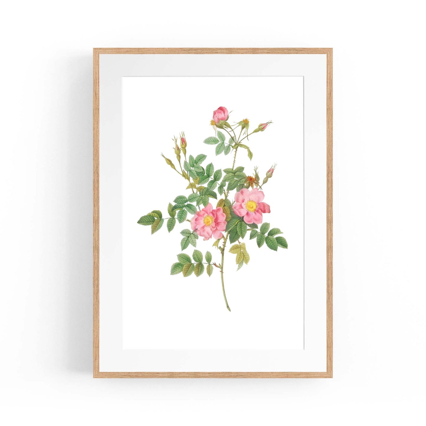 Flower Botanical Painting Kitchen Hallway Wall Art #47 - The Affordable Art Company