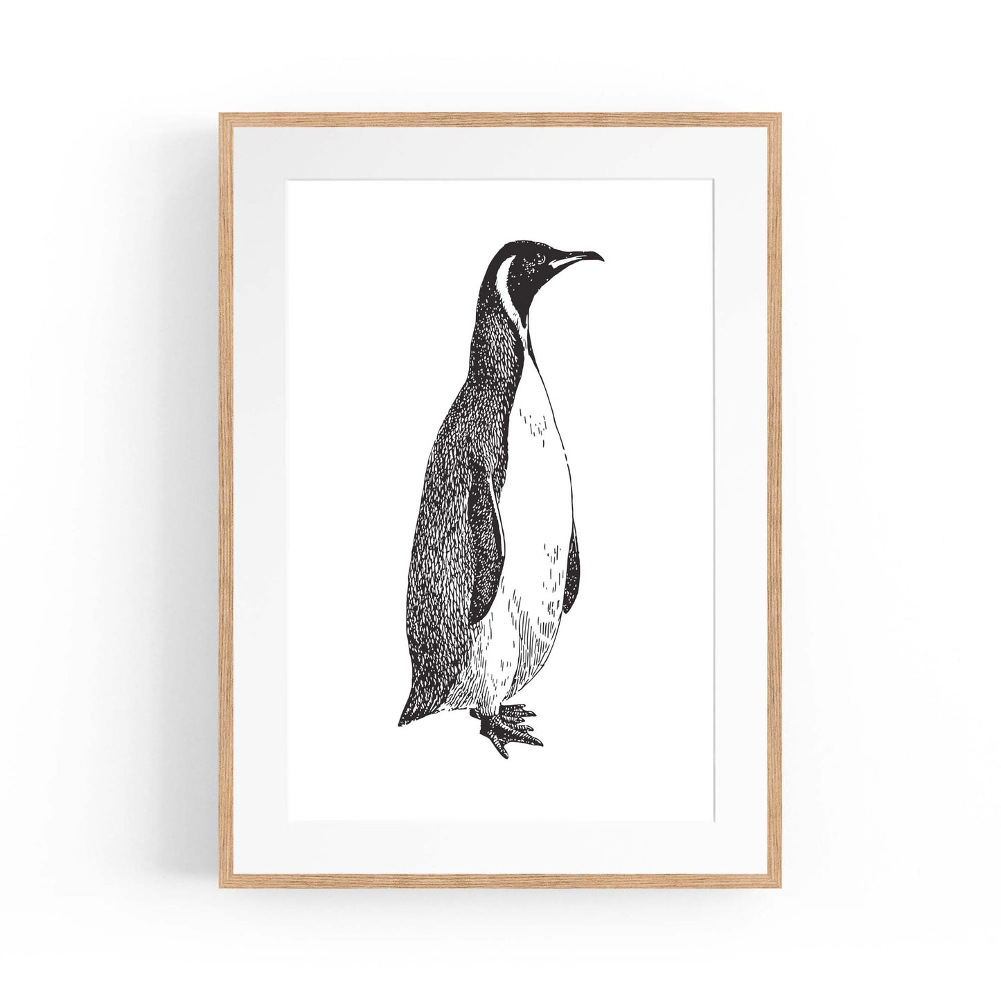 Penguin Drawing Animal Office Library Wall Art #1 - The Affordable Art Company