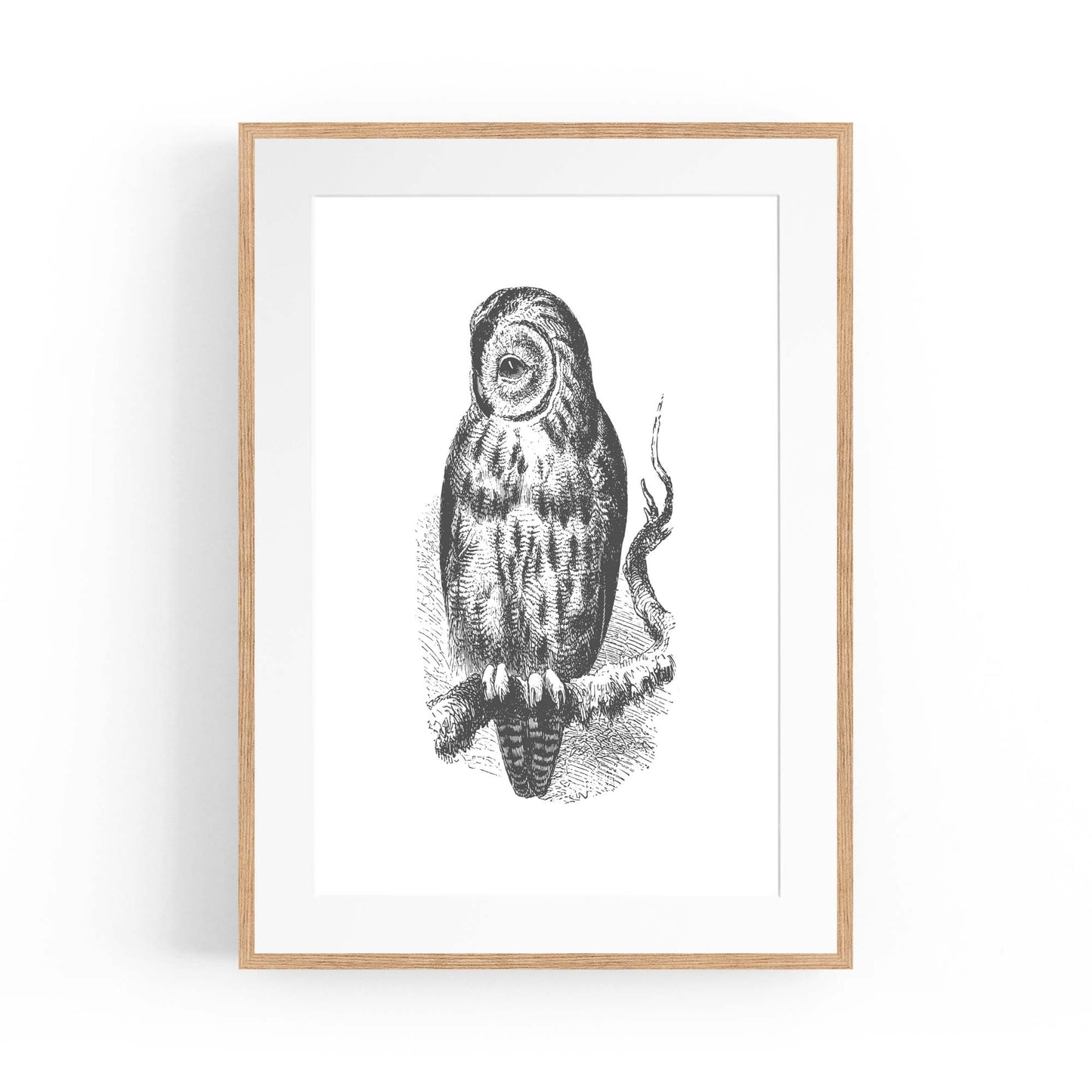 Owl Drawing Portrait Minimal Black Wall Art #3 - The Affordable Art Company