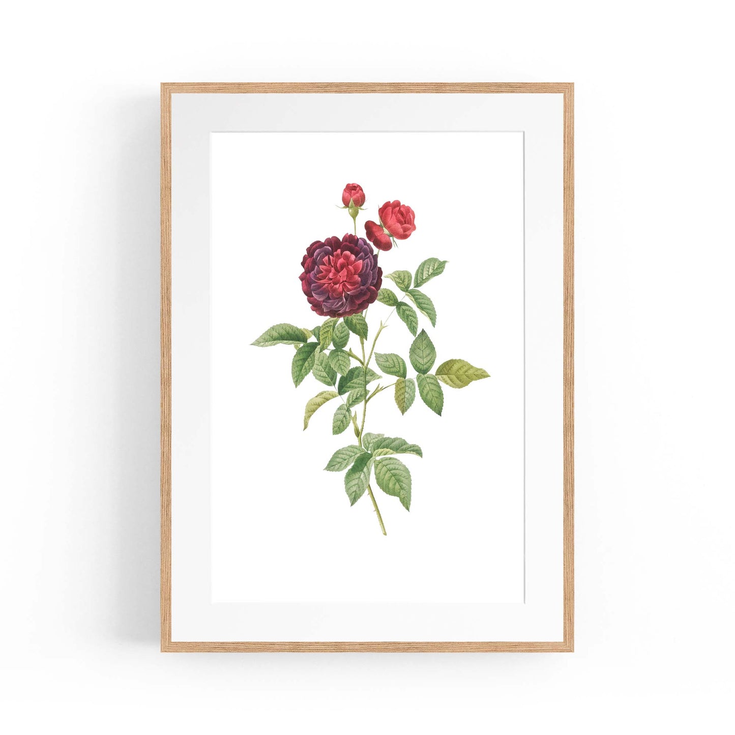 Flower Botanical Painting Kitchen Hallway Wall Art #30 - The Affordable Art Company