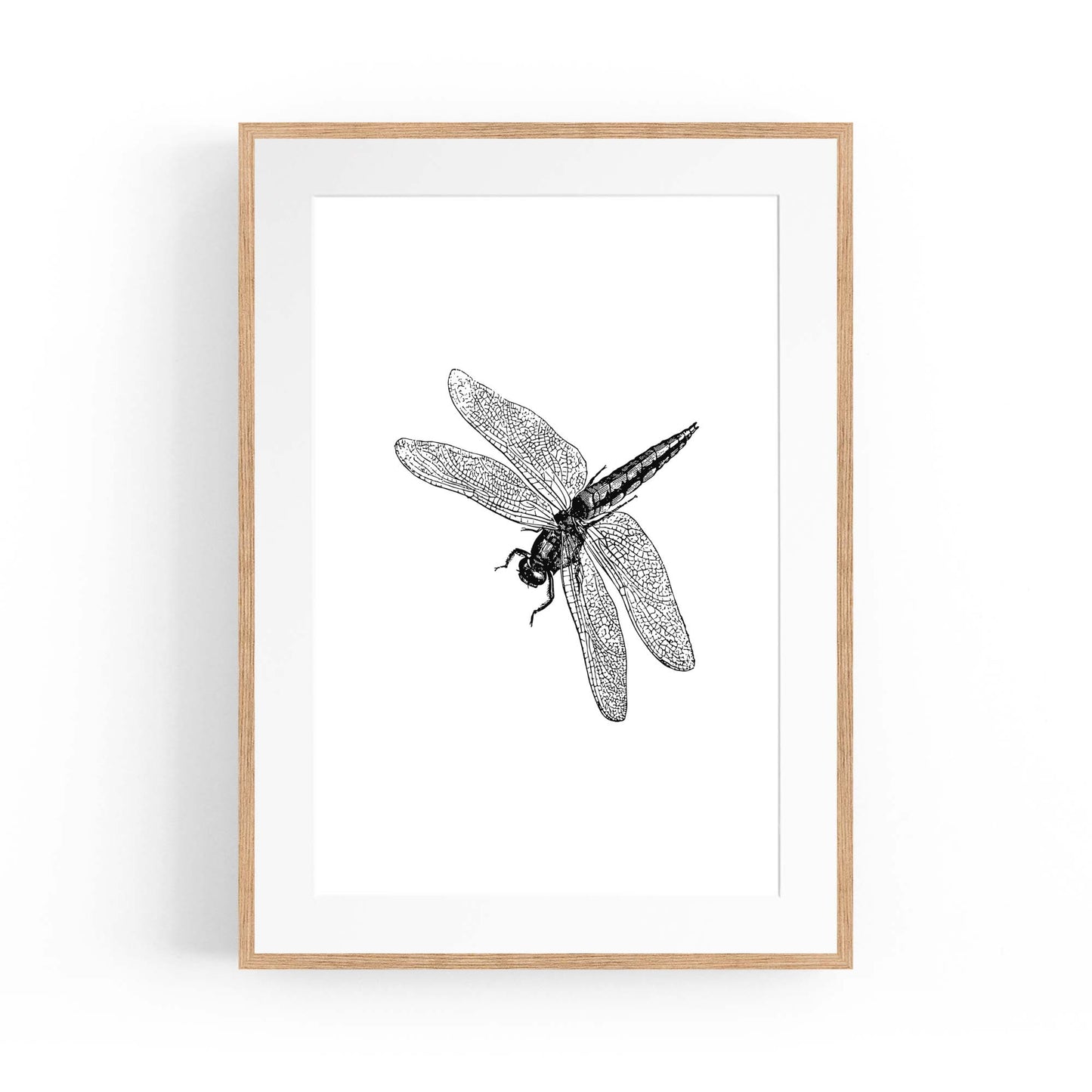 Dragonfly Drawing Insect Minimal Artwork Wall Art #2 - The Affordable Art Company