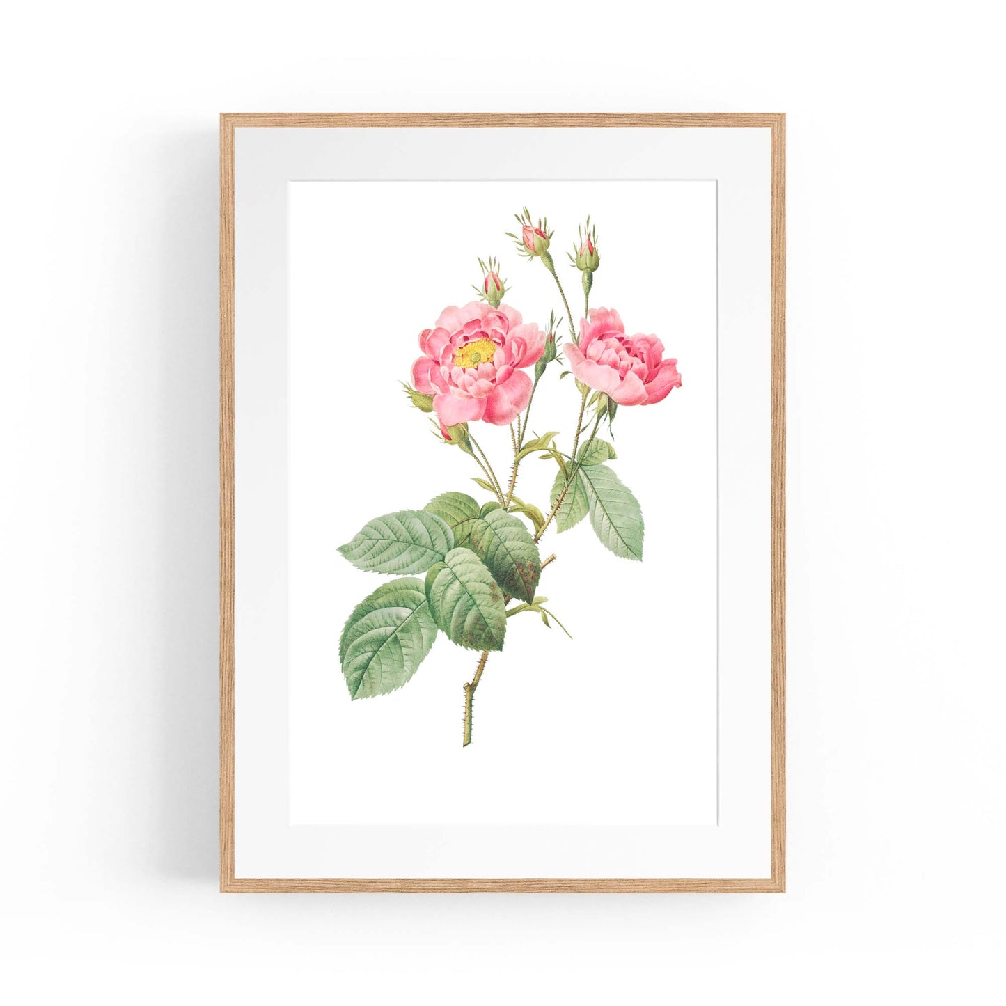 Flower Botanical Painting Kitchen Hallway Wall Art #12 - The Affordable Art Company