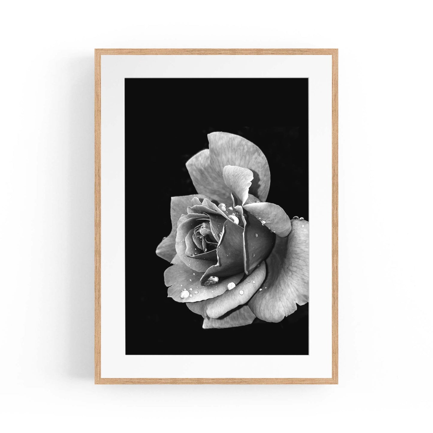 Black and White Rose Flower Photograph Wall Art - The Affordable Art Company